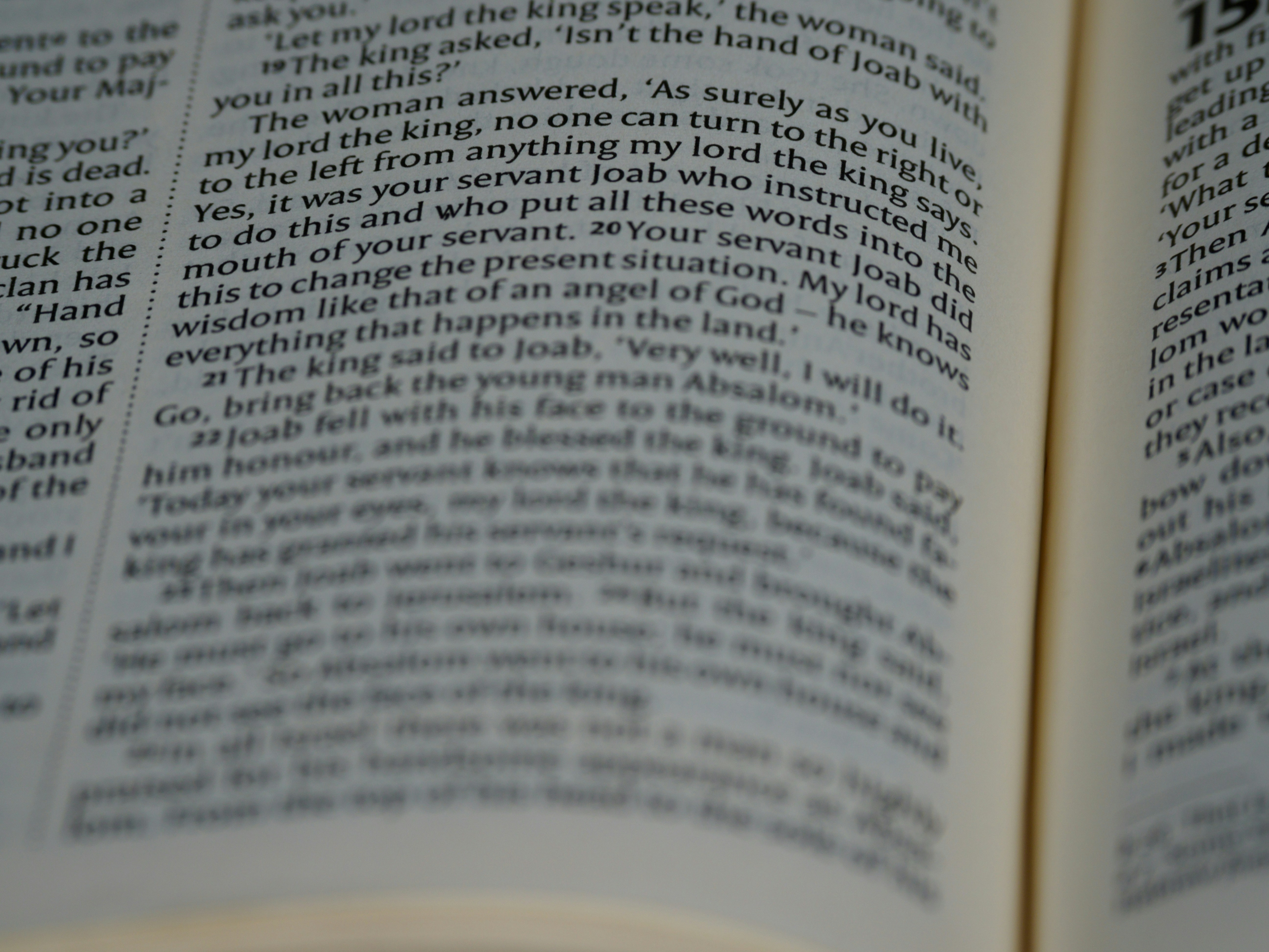 Photo by brett_jordan