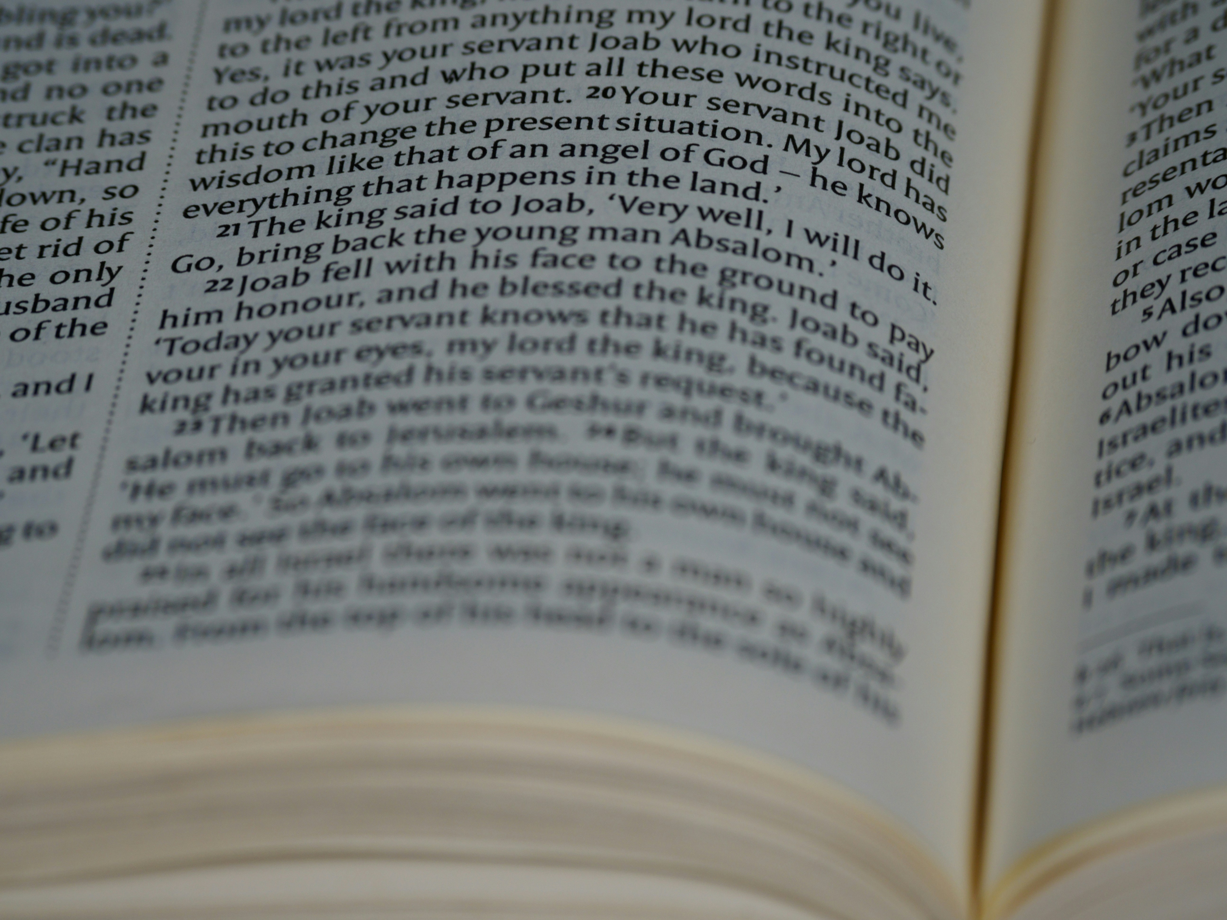 Photo by brett_jordan