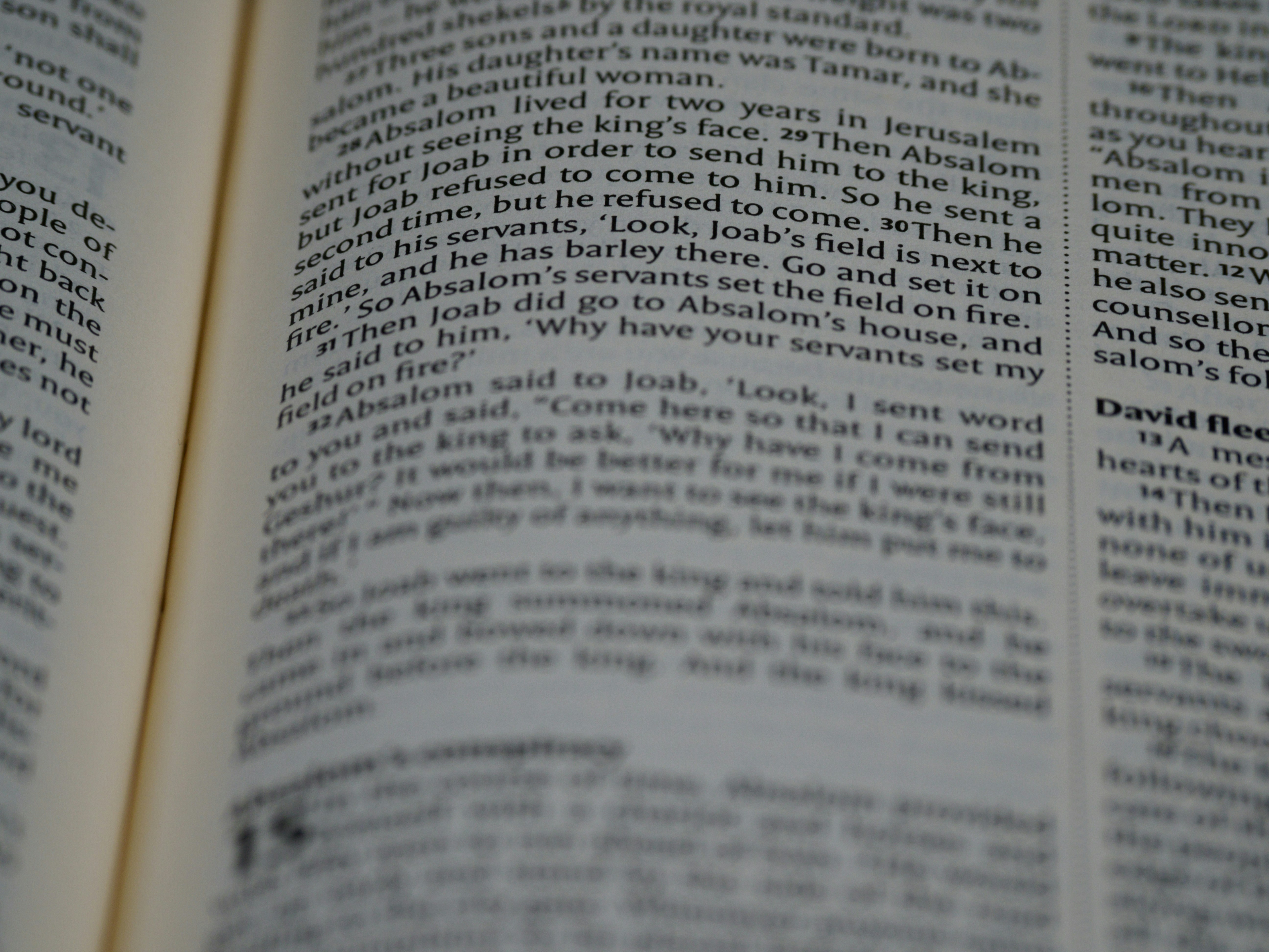 Photo by brett_jordan