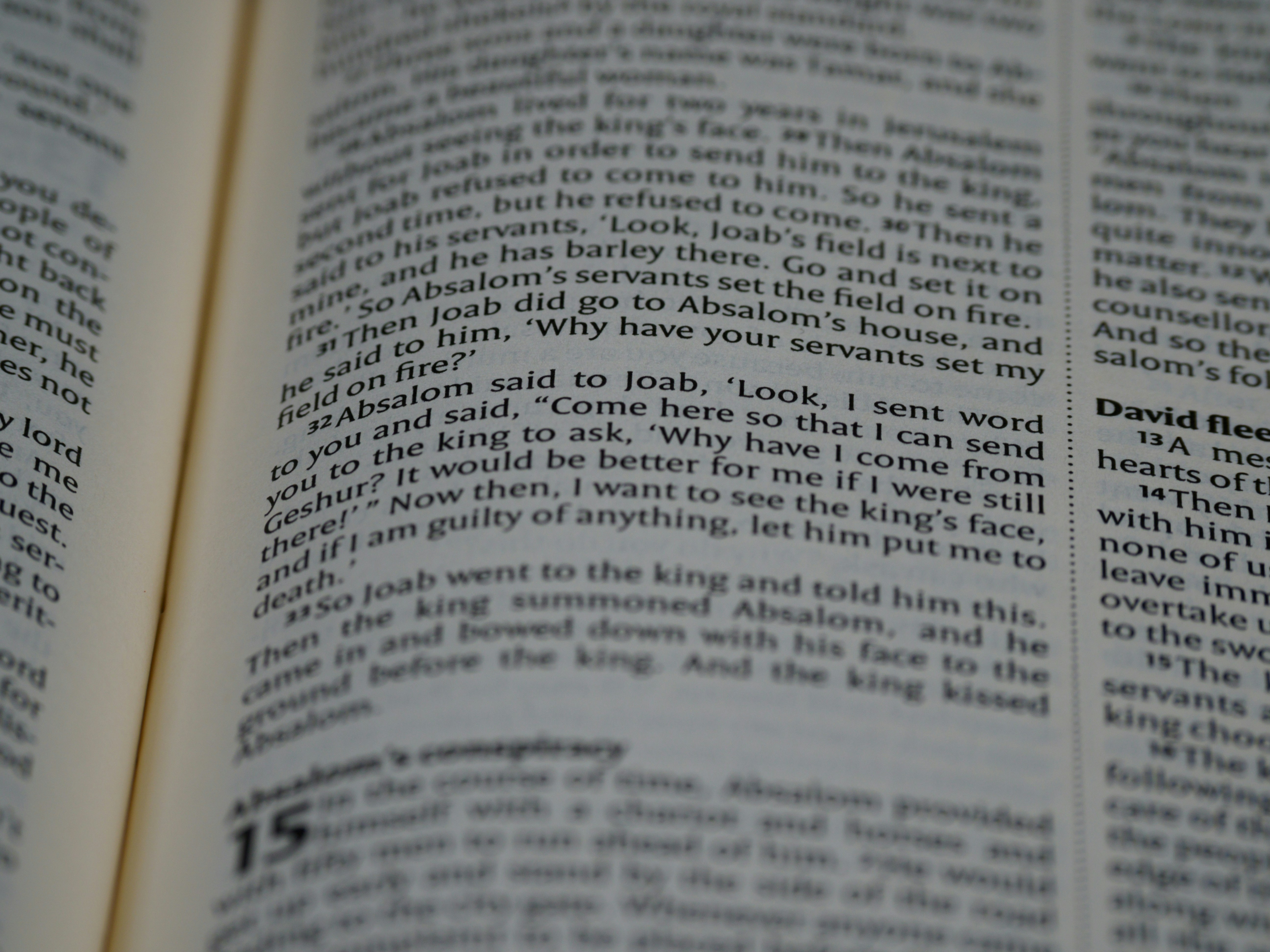 Photo by brett_jordan