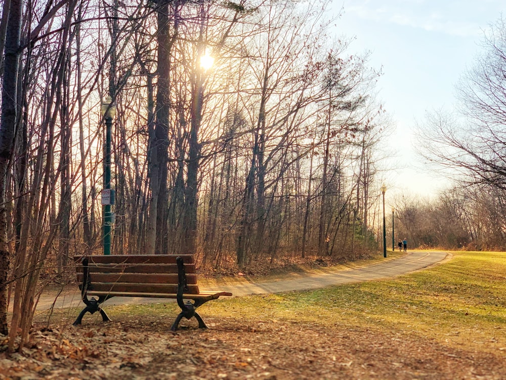 brown wooden bench surrounded by bare trees during daytime