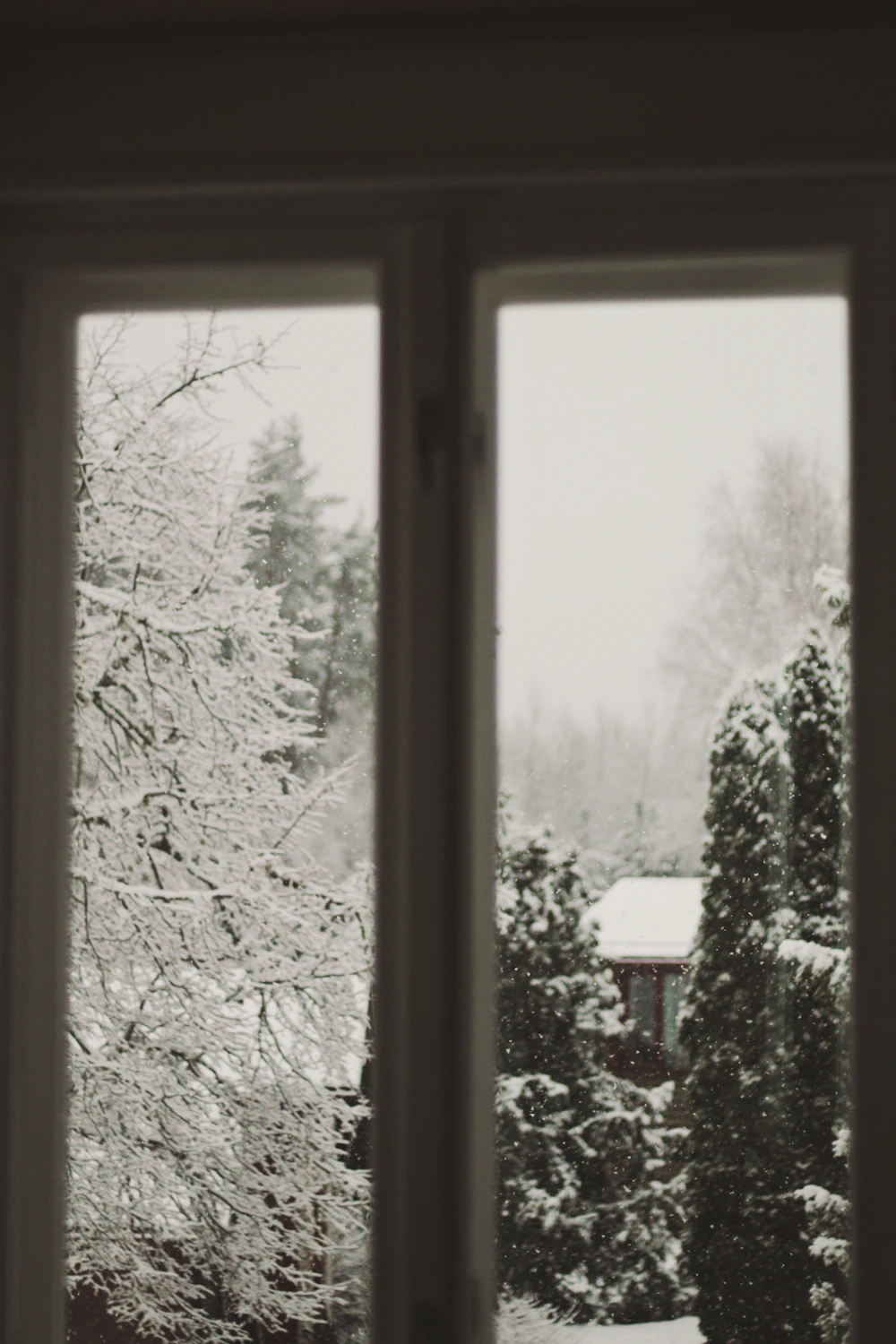 White wooden window looking out on a snowy winter landscape