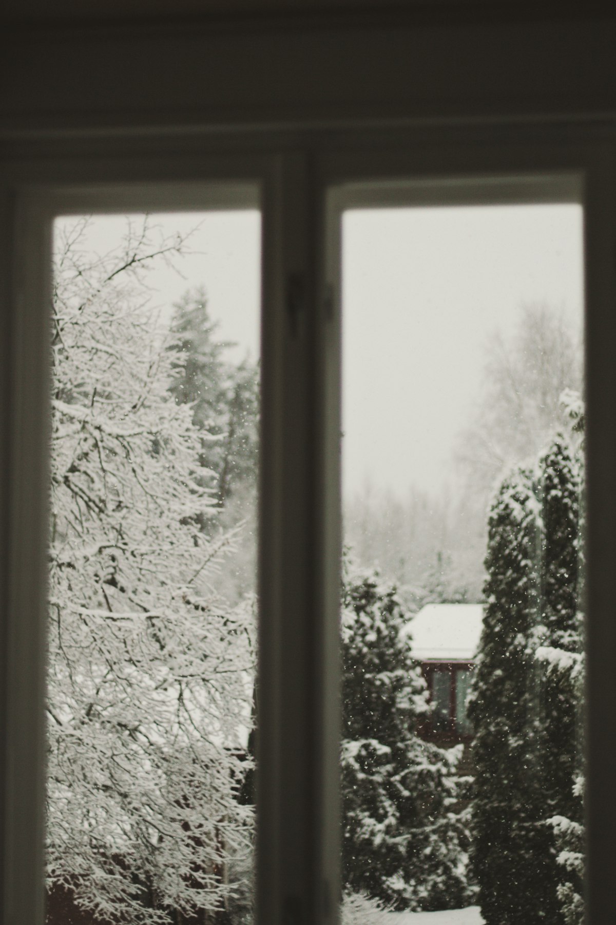 Ventana de madera pintada de blanco vista desde el interior de una casa, con árboles nevados y un paisaje invernal afuera en un día frío