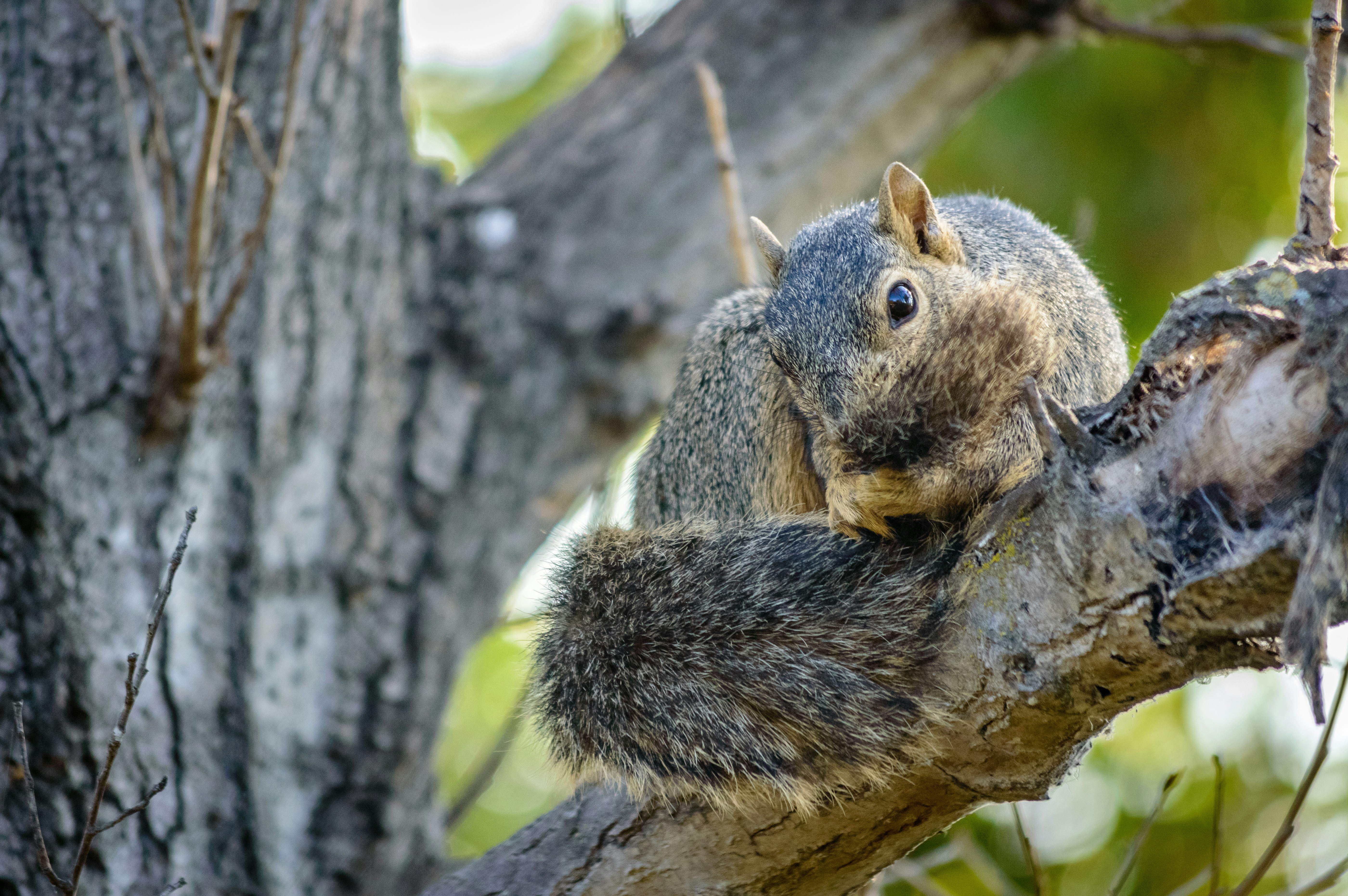 Photo by trommelkopf