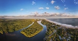 green trees near body of water under blue sky during daytime
