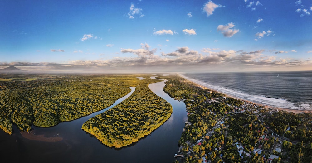 green trees near body of water under blue sky during daytime