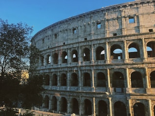 brown concrete building during daytime
