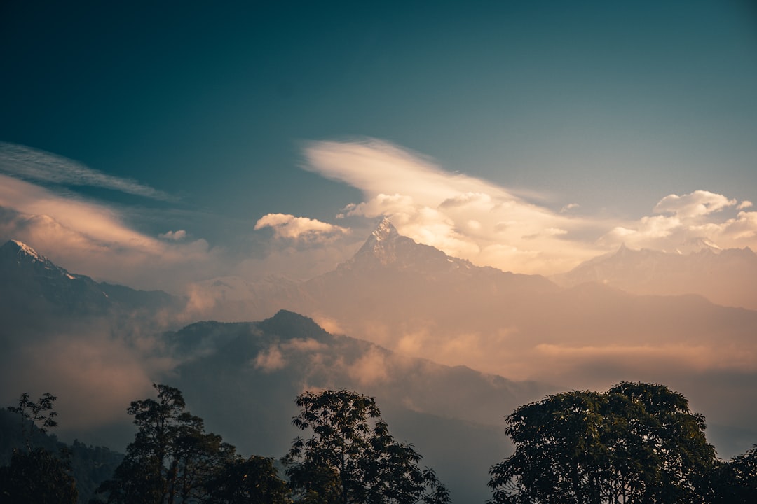 silhouette of trees and mountains under blue sky during daytime