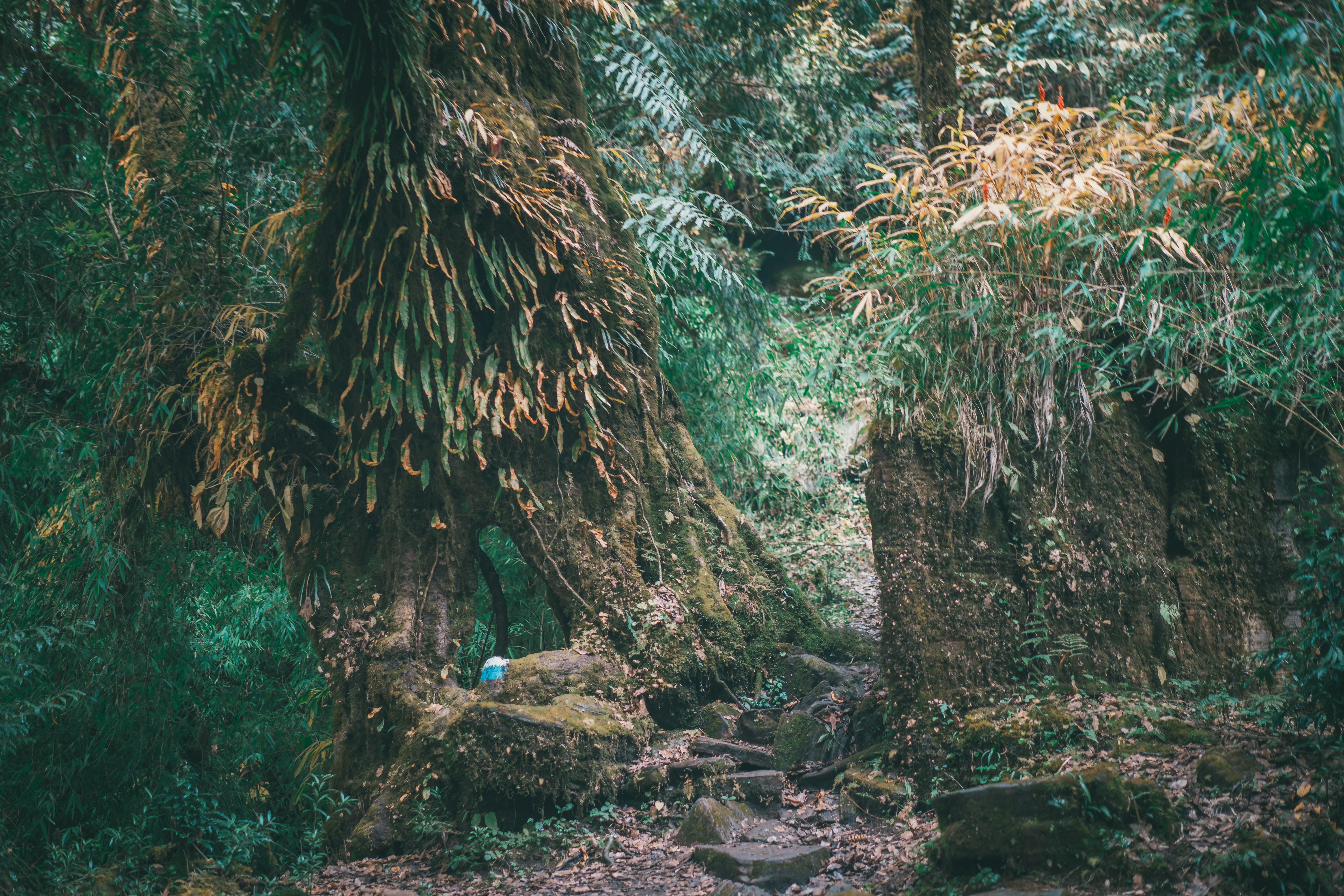 Photo by raimondklavins