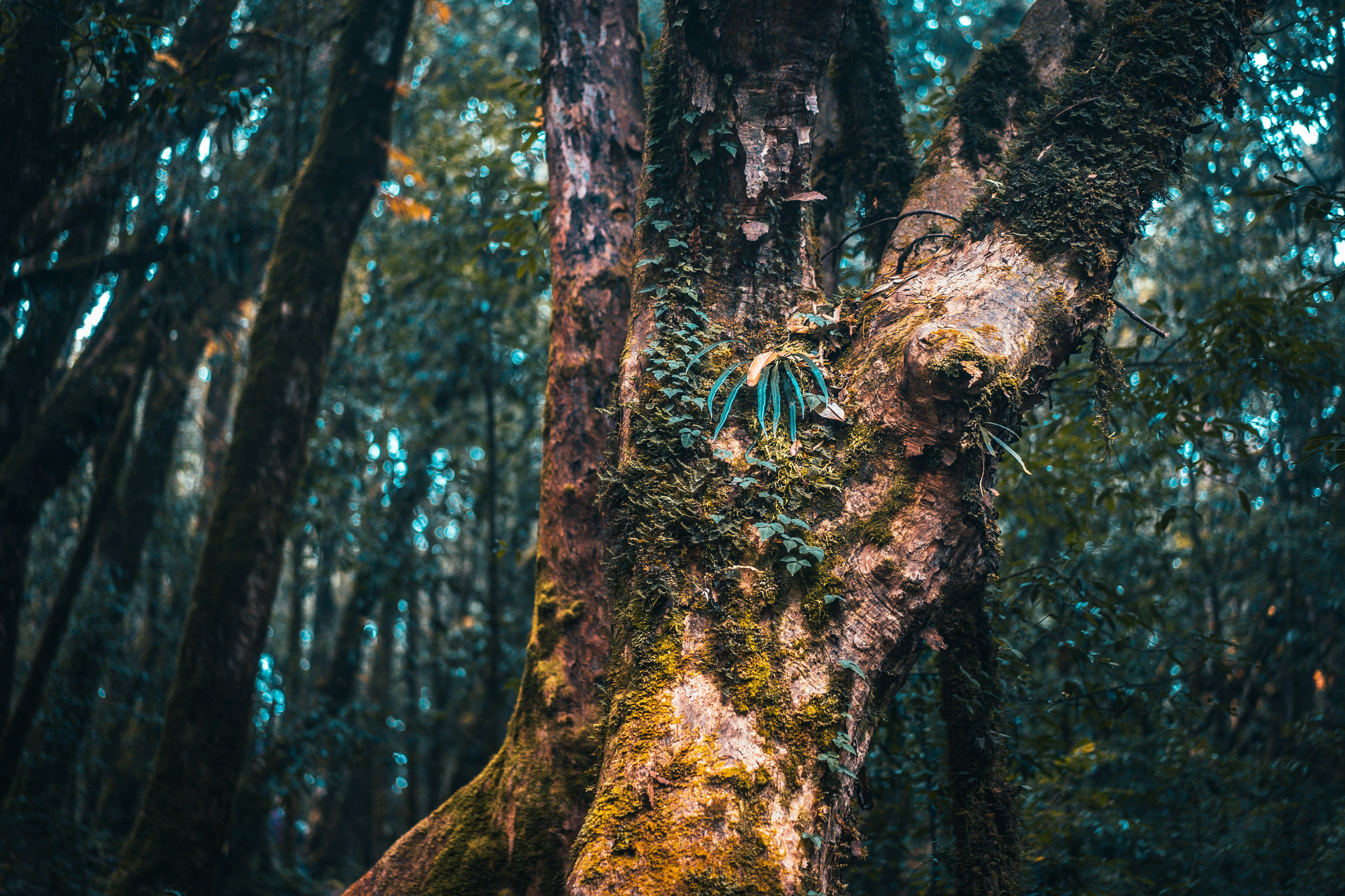 Photo by raimondklavins