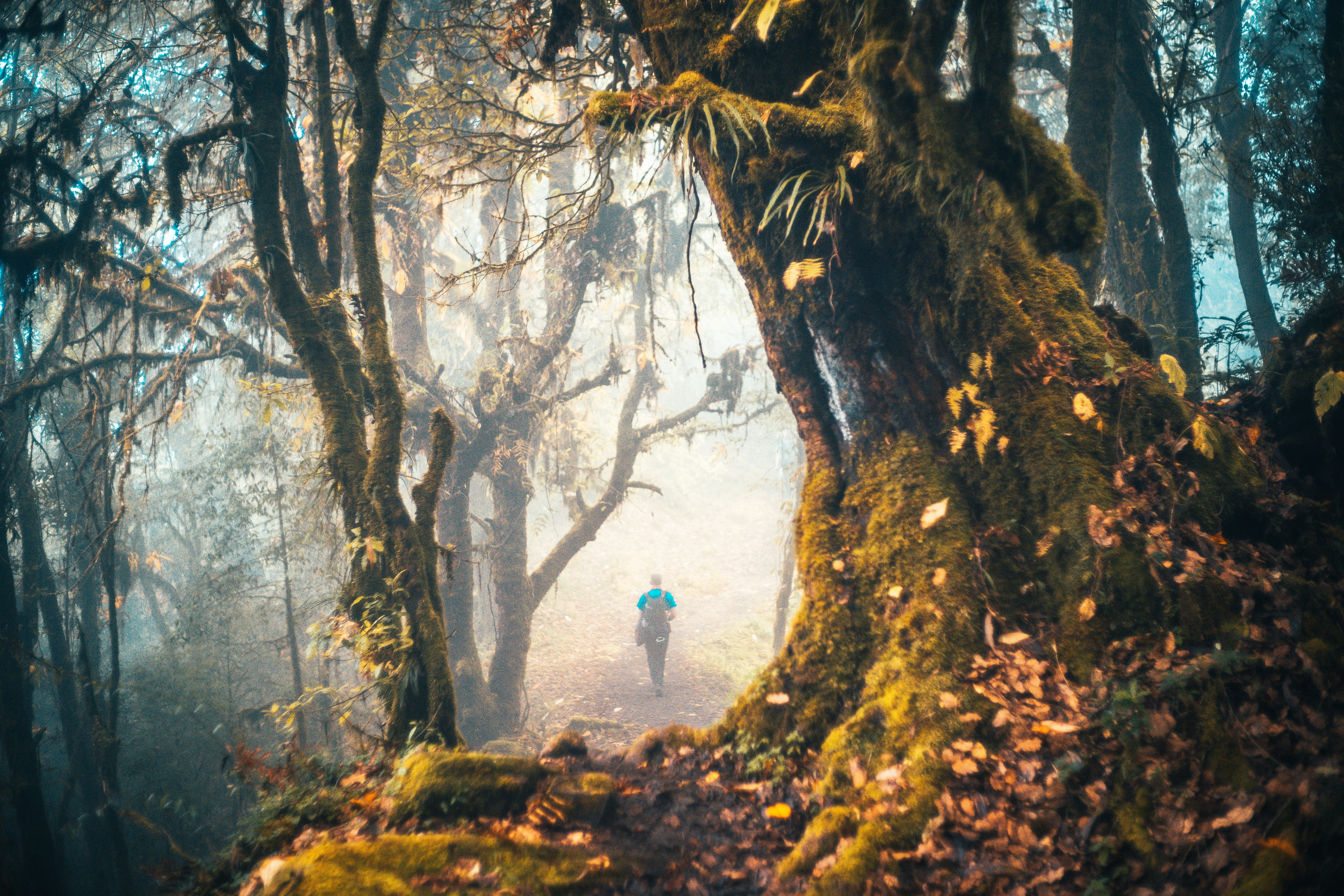 Photo by raimondklavins