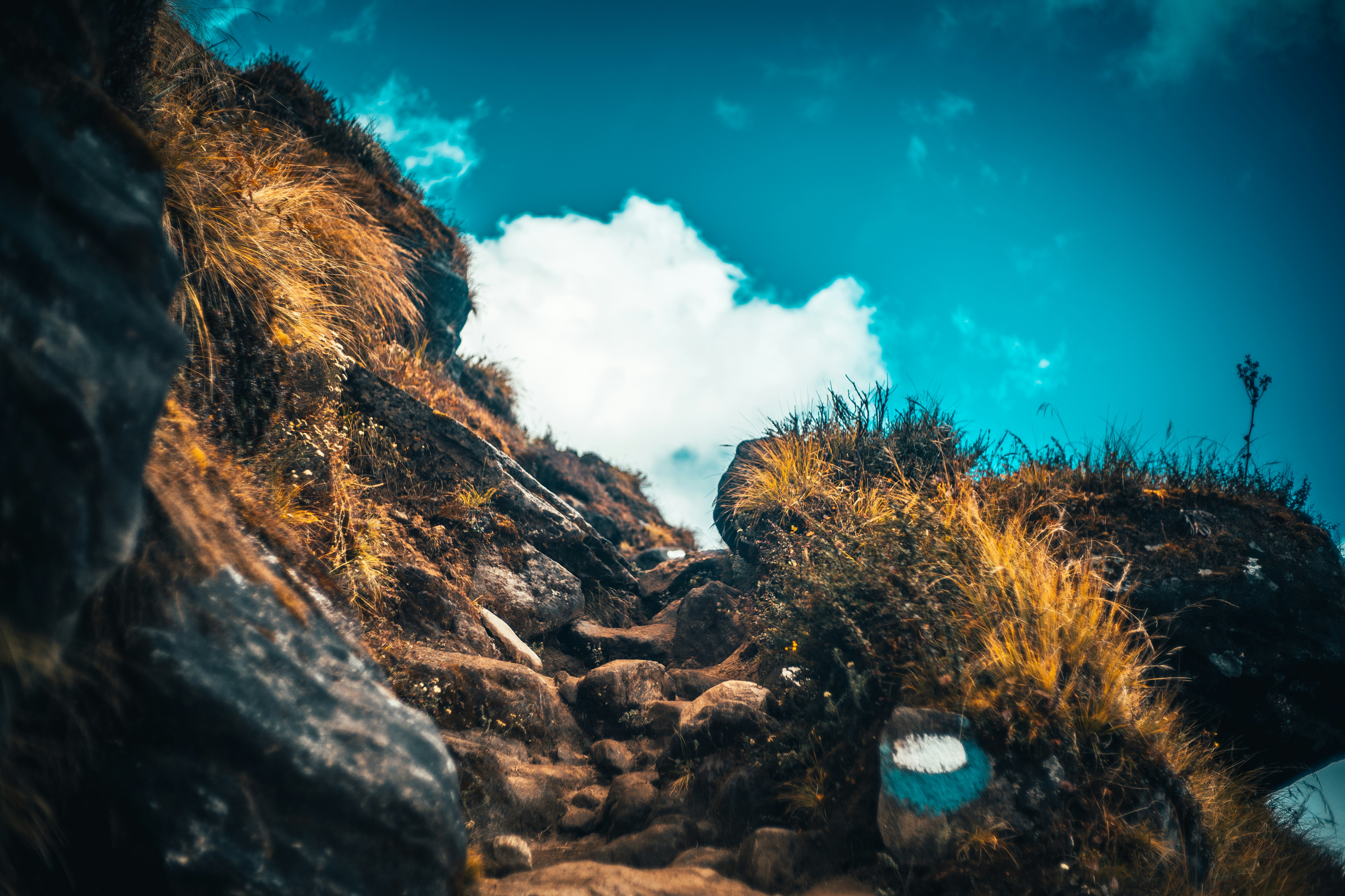 Photo by raimondklavins