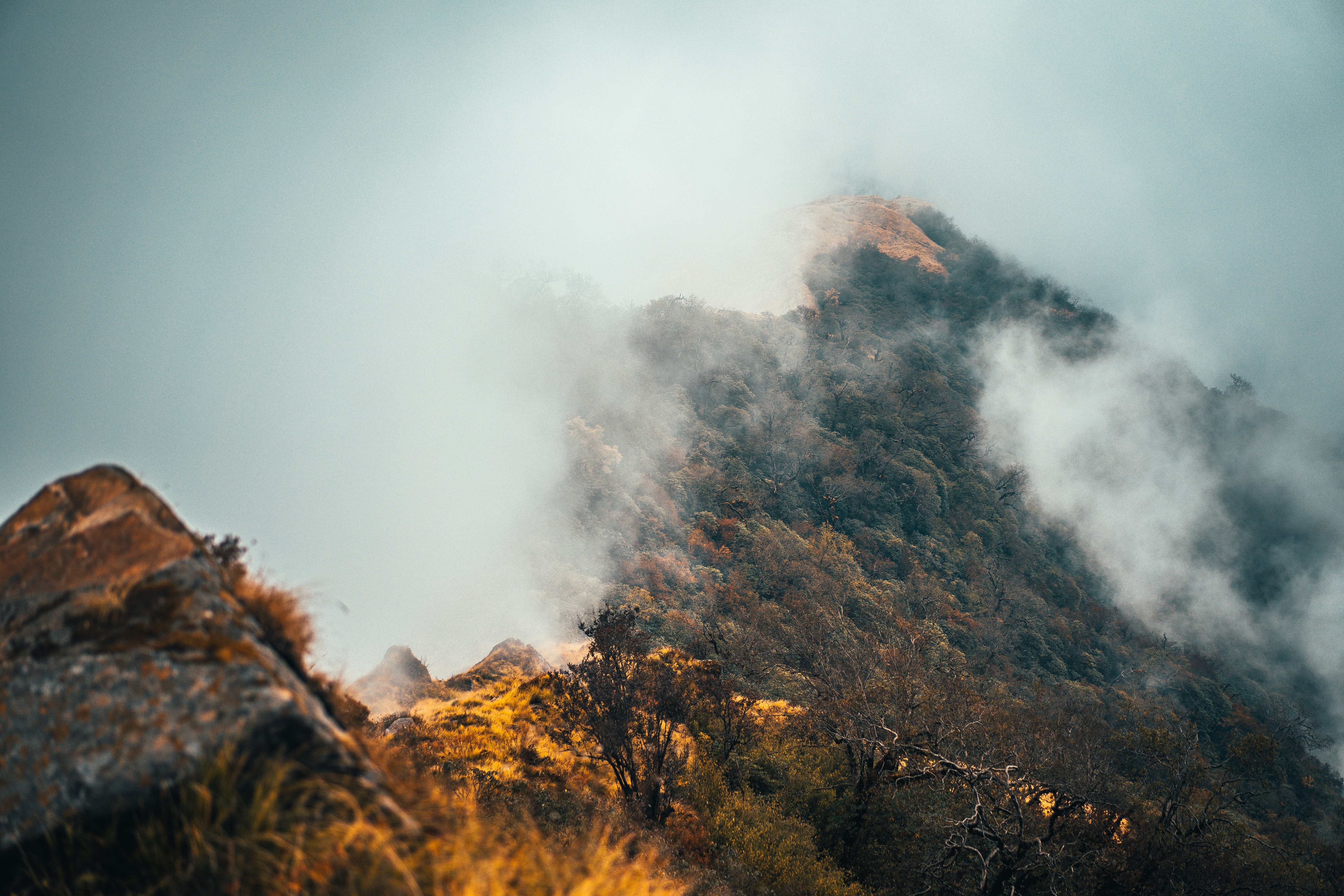 Photo by raimondklavins