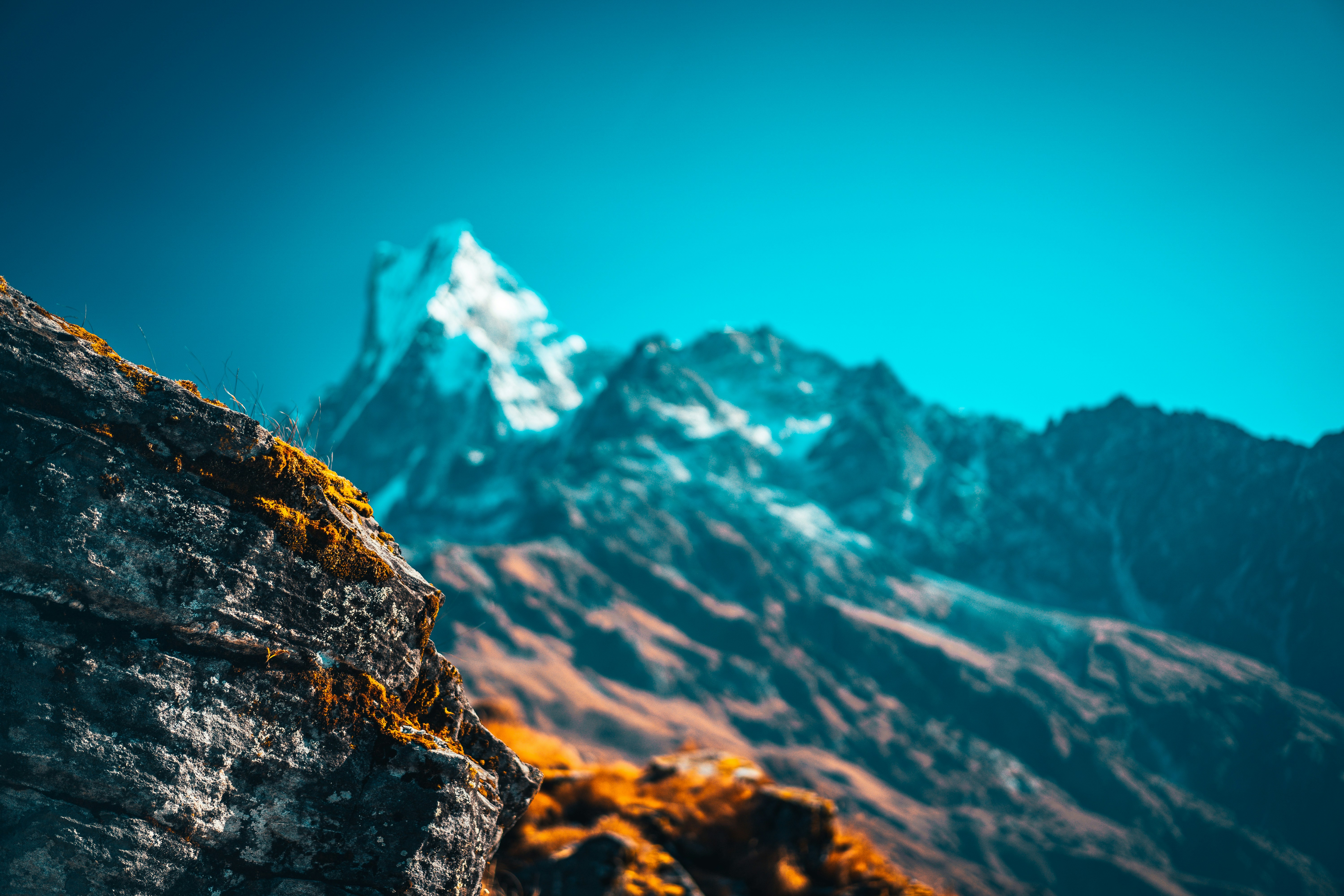 Photo by raimondklavins