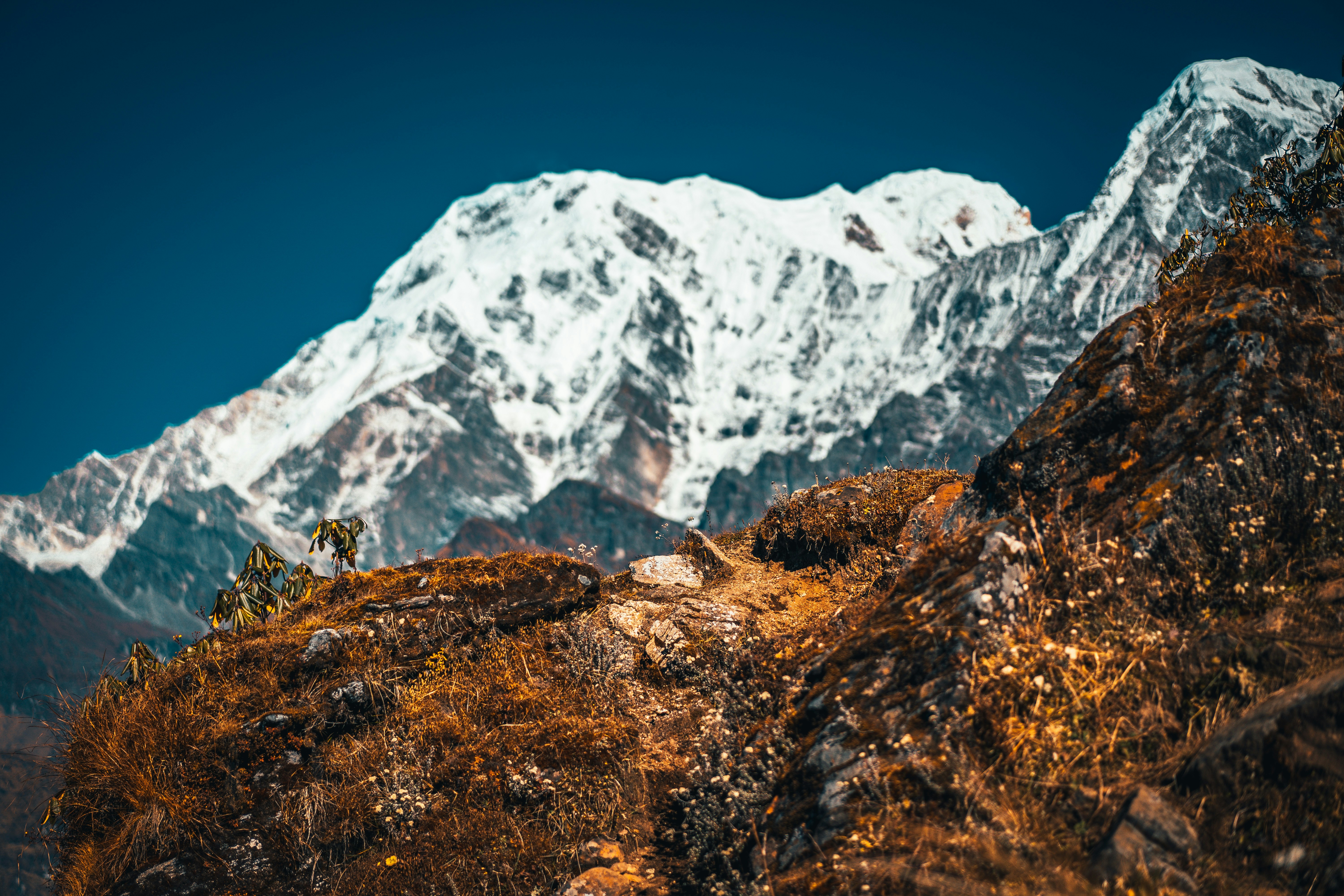 Photo by raimondklavins