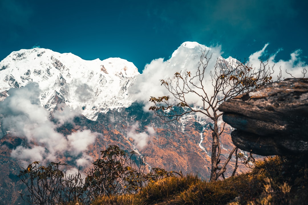 brown grass and white clouds