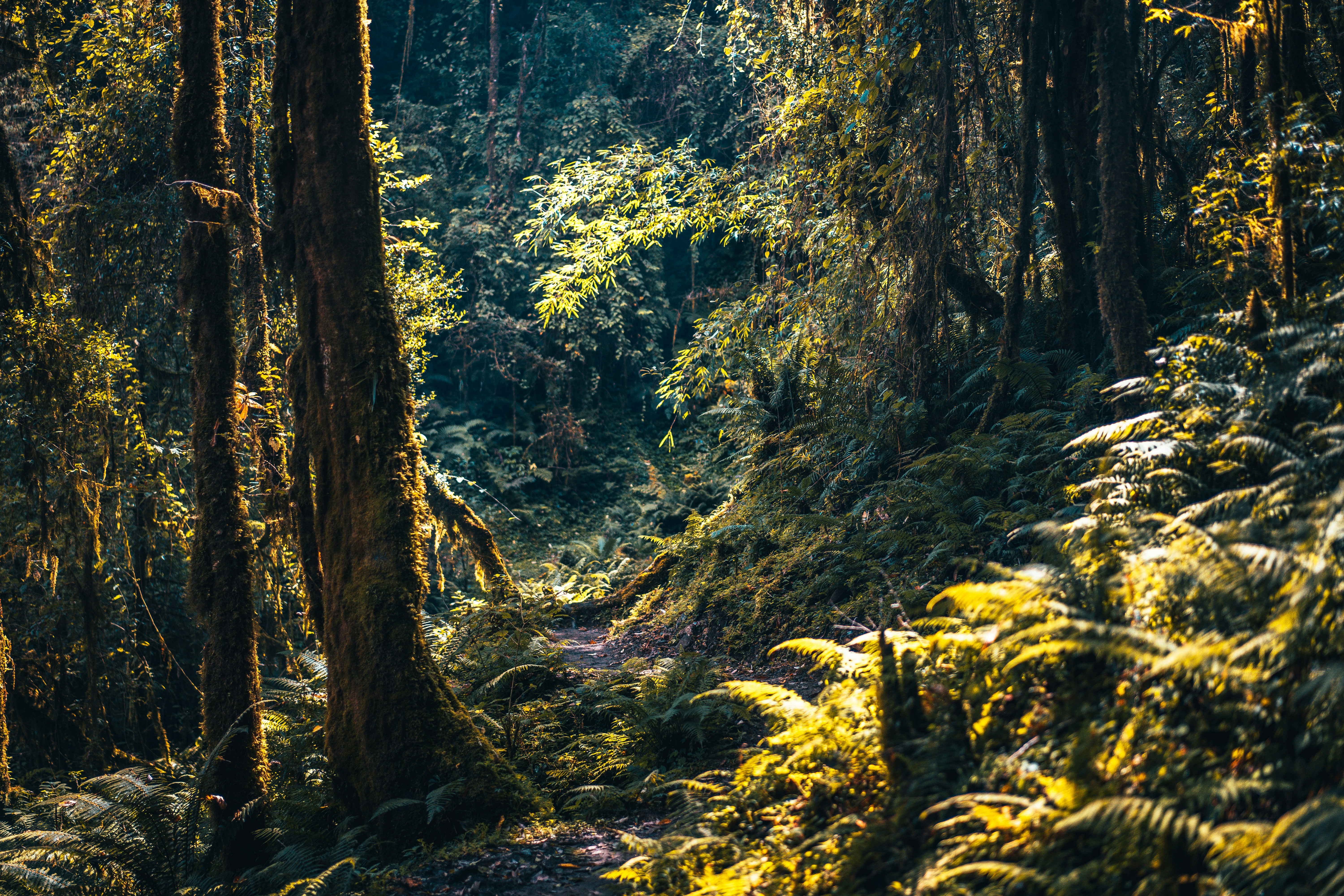 Photo by raimondklavins