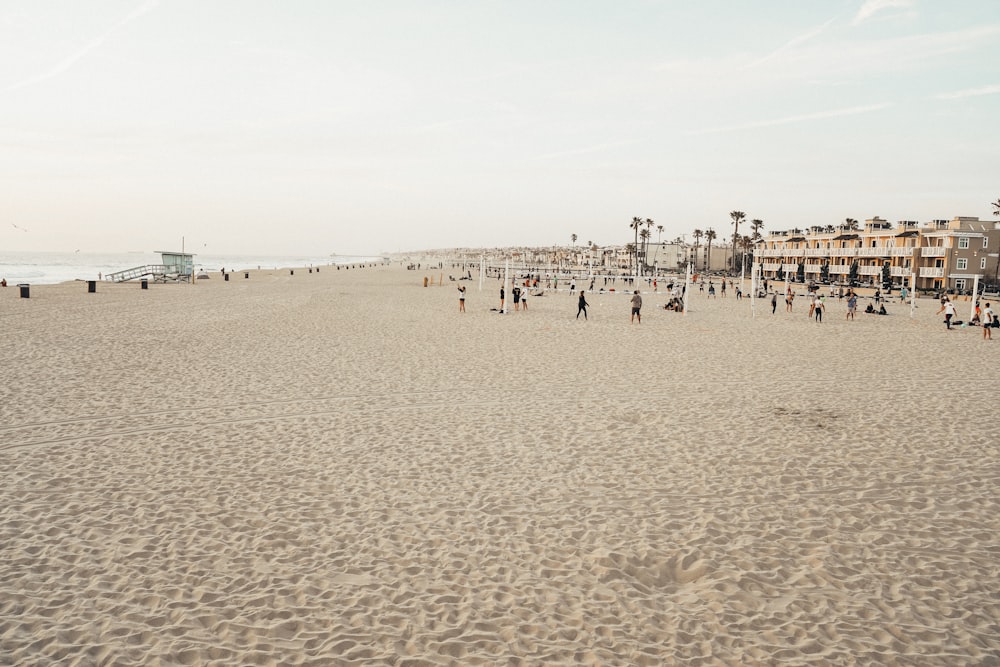 people on beach during daytime