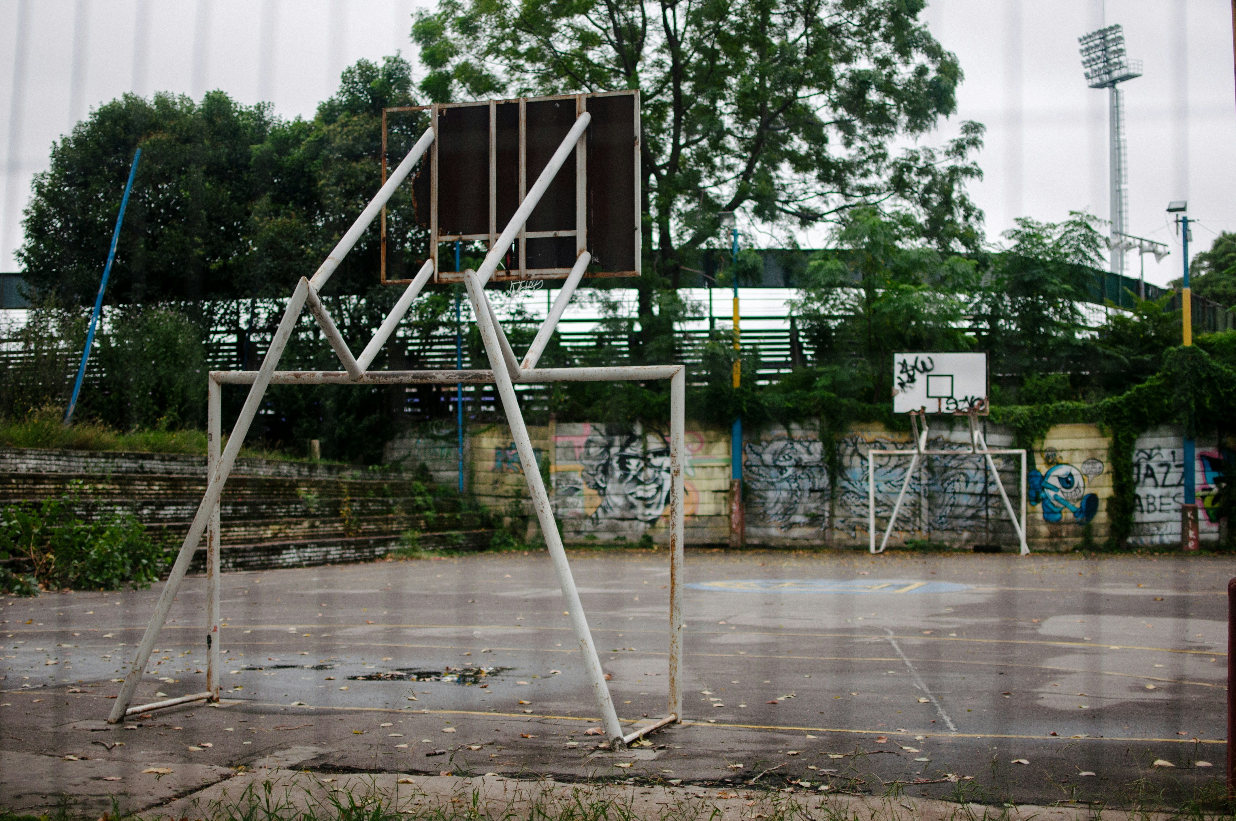 日中の茶色の木製のドックの白い金属製の梯子