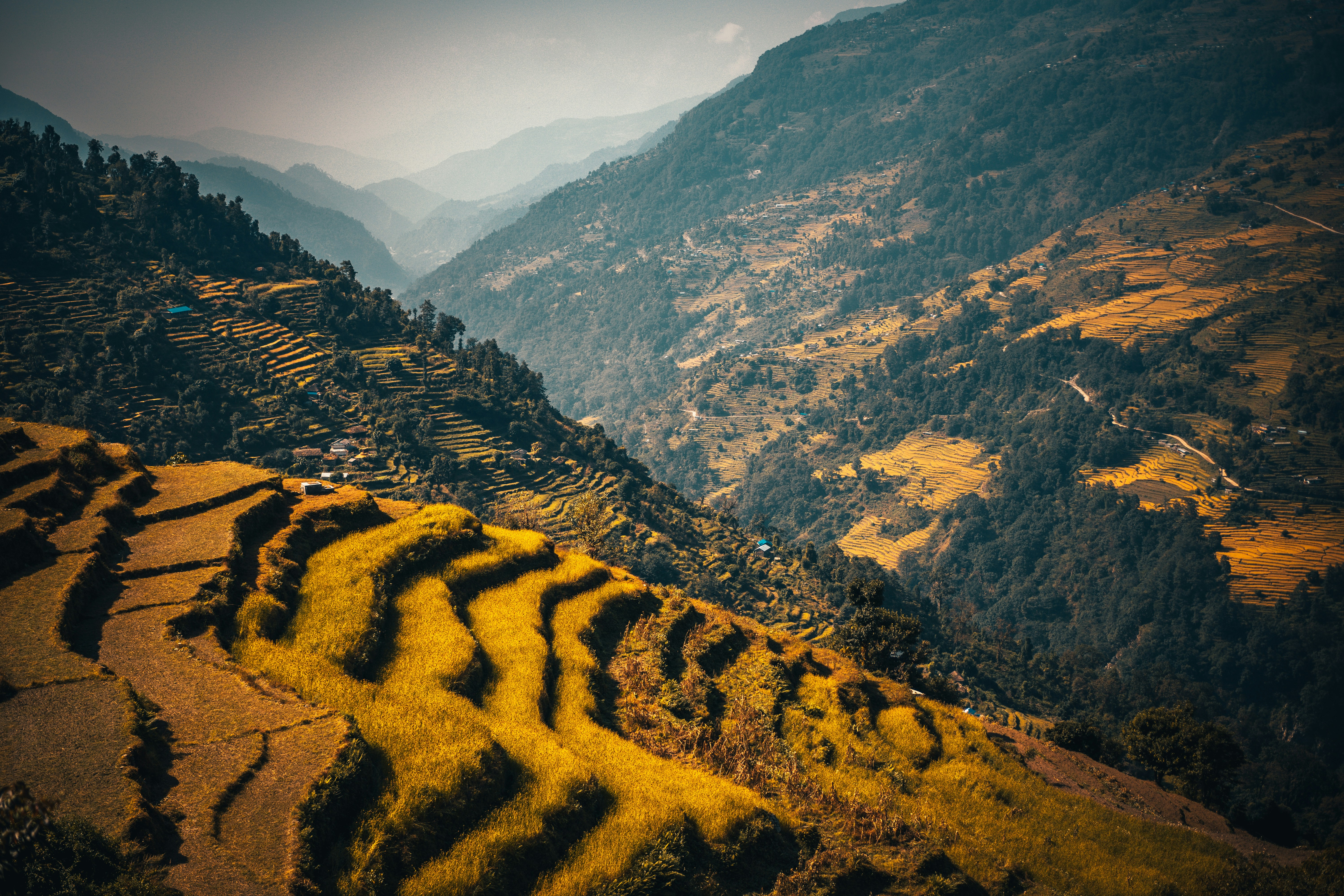 Photo by raimondklavins