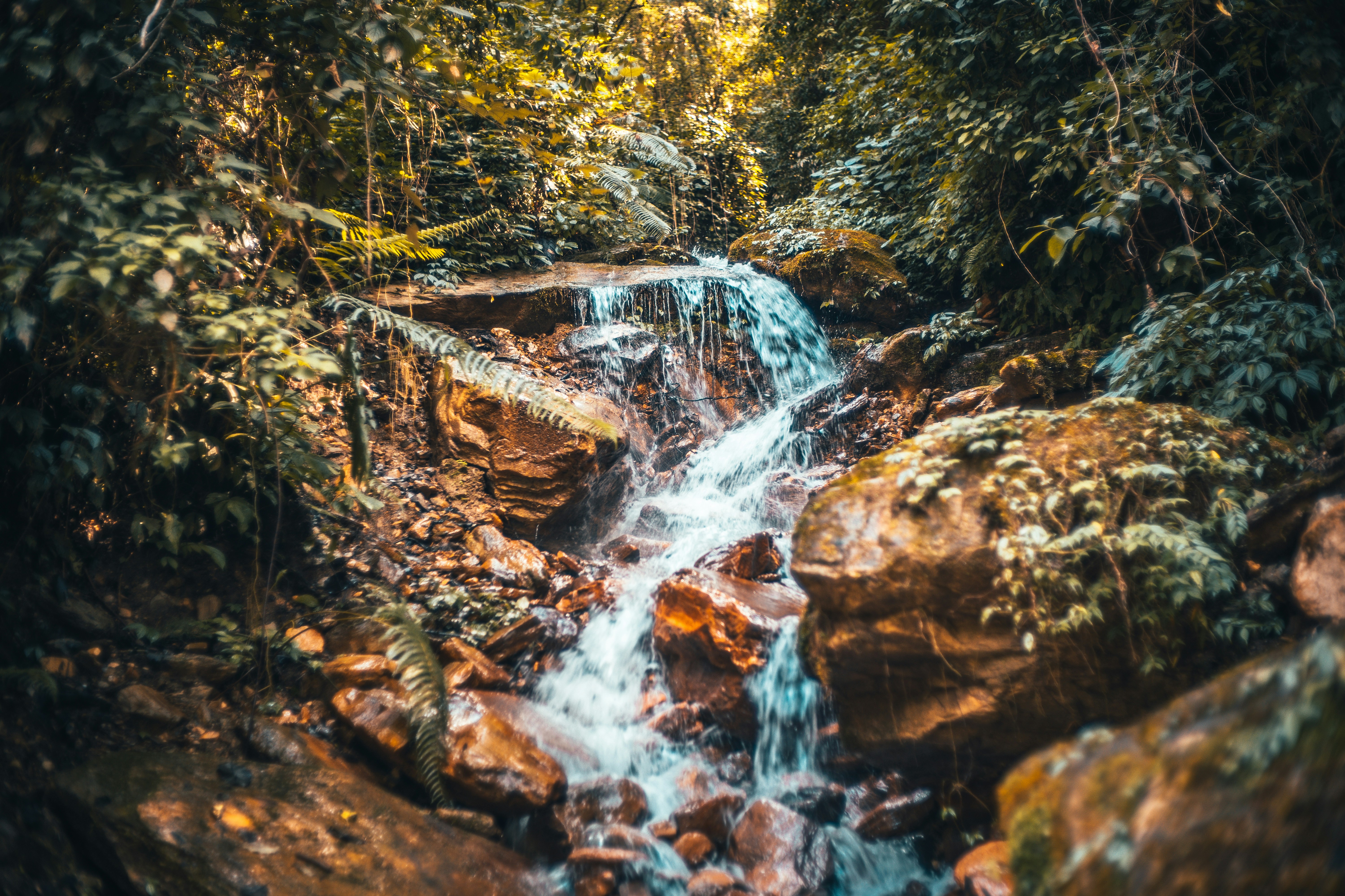 Photo by raimondklavins