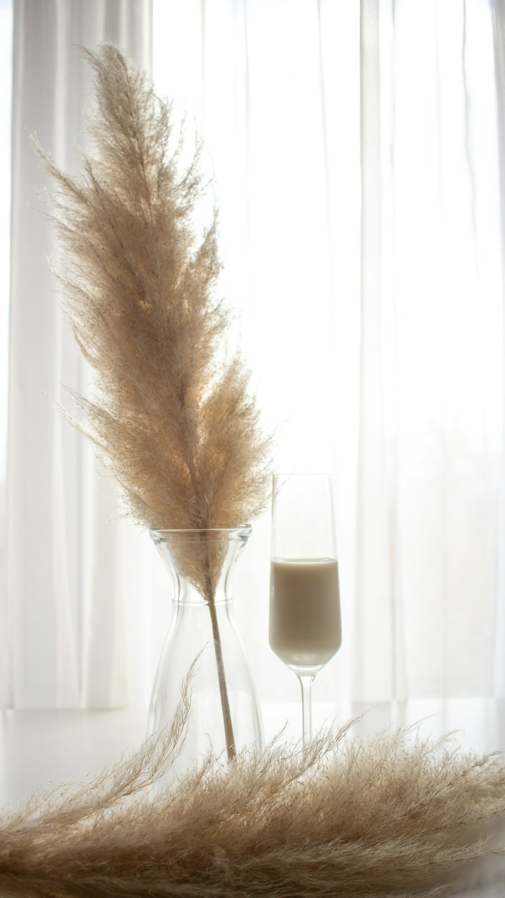 brown plant in clear glass vase