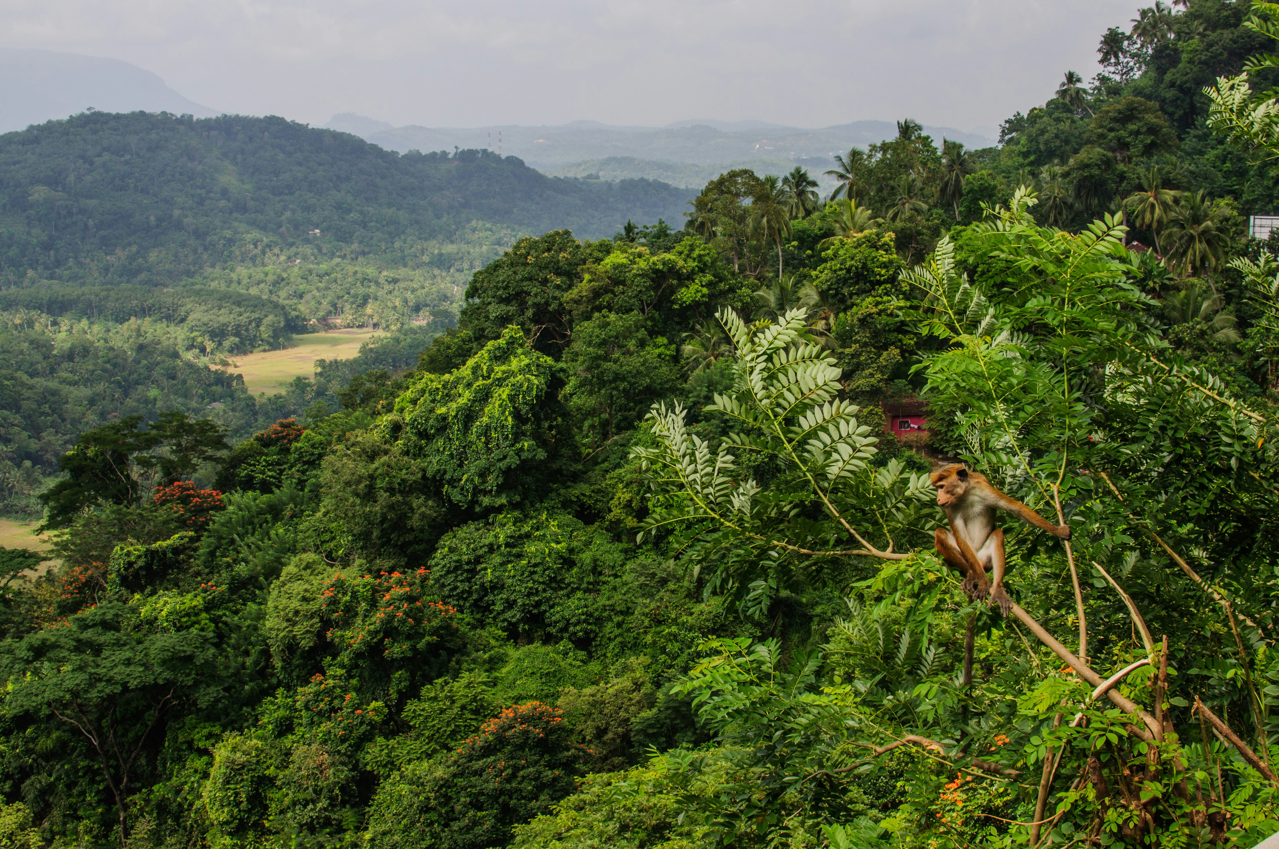 Photo by abdurahmanus