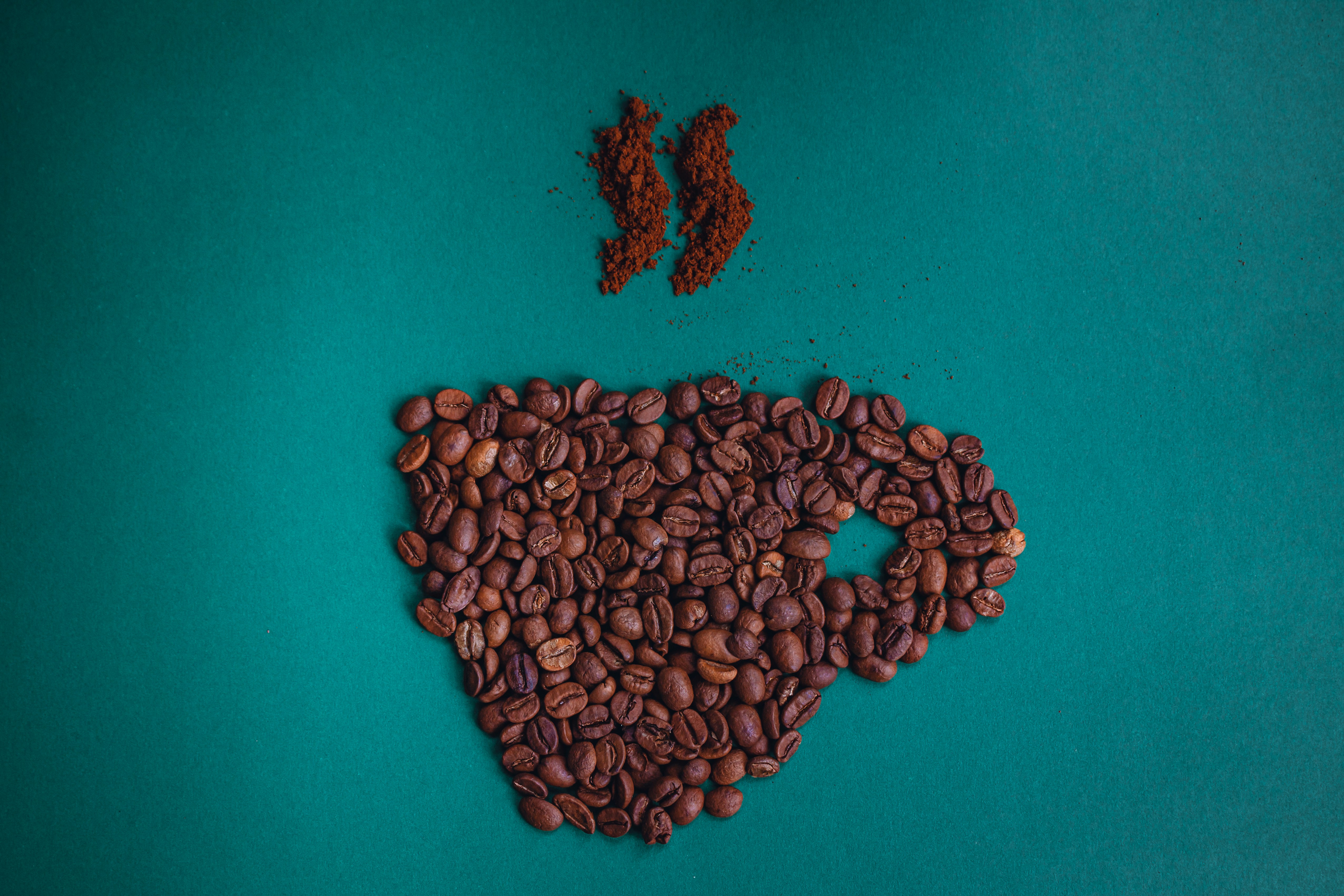 brown coffee beans on blue surface
