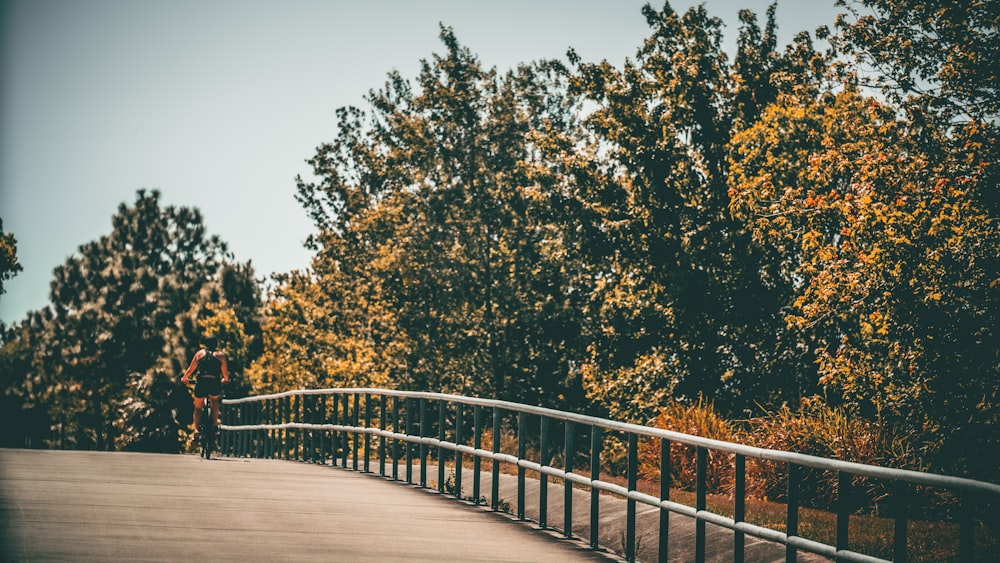 white wooden bridge near green trees during daytime