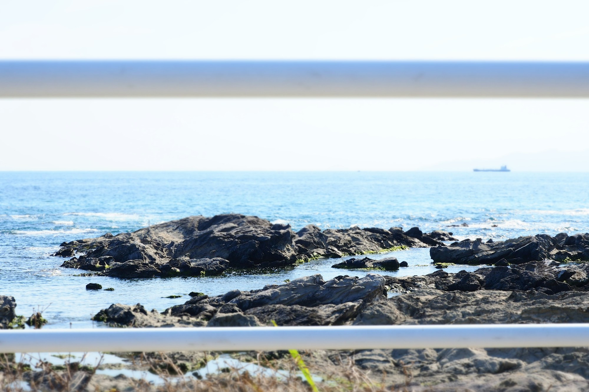 Best Seasons to Visit Tateyama: Weather Guide & Ideal Months