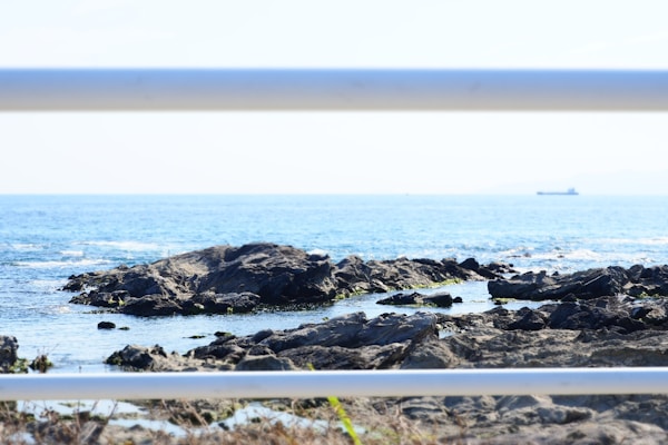 Best Seasons to Visit Tateyama: Weather Guide & Ideal Months
