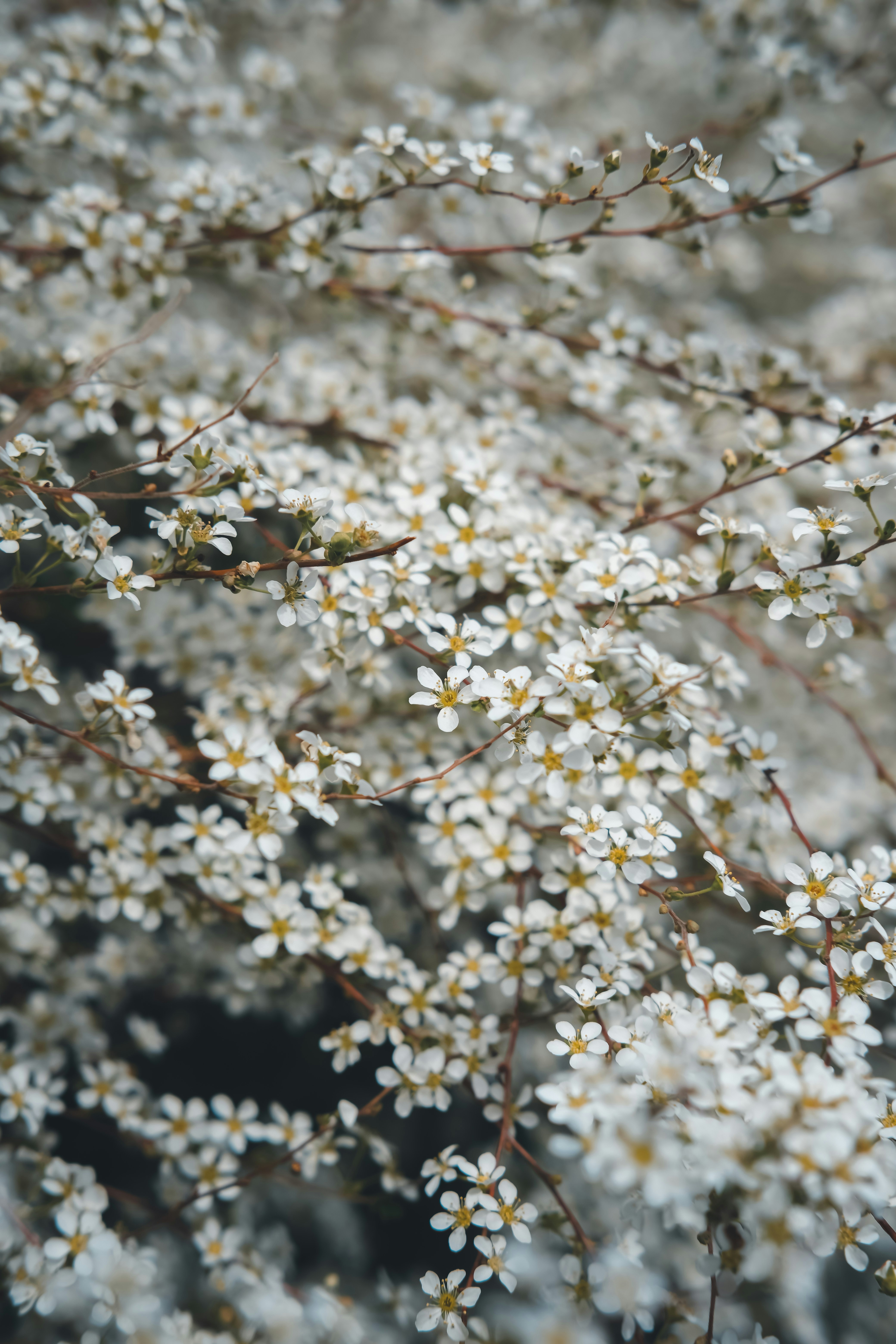 Photo by create4eyes