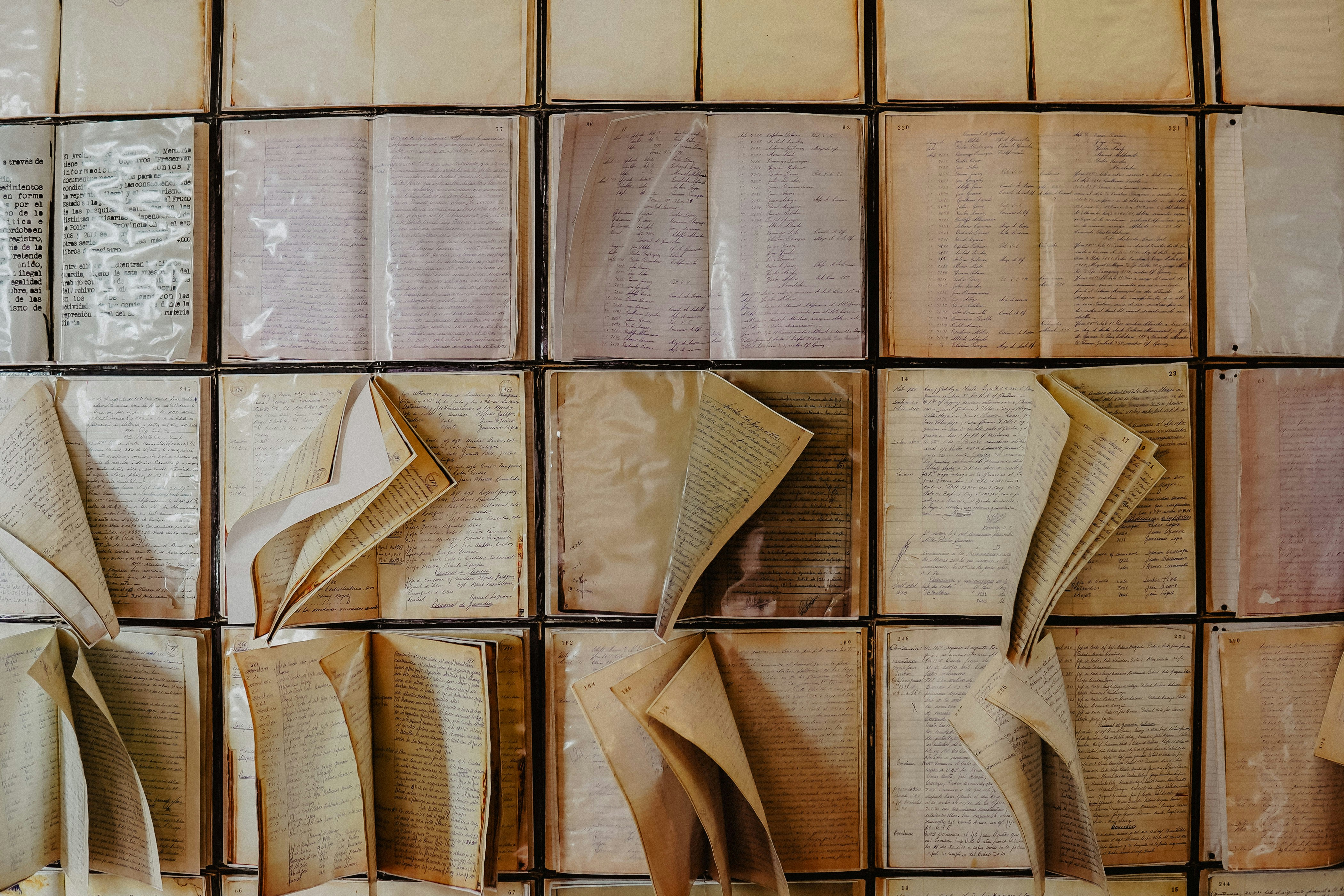 Photo by danieljulio