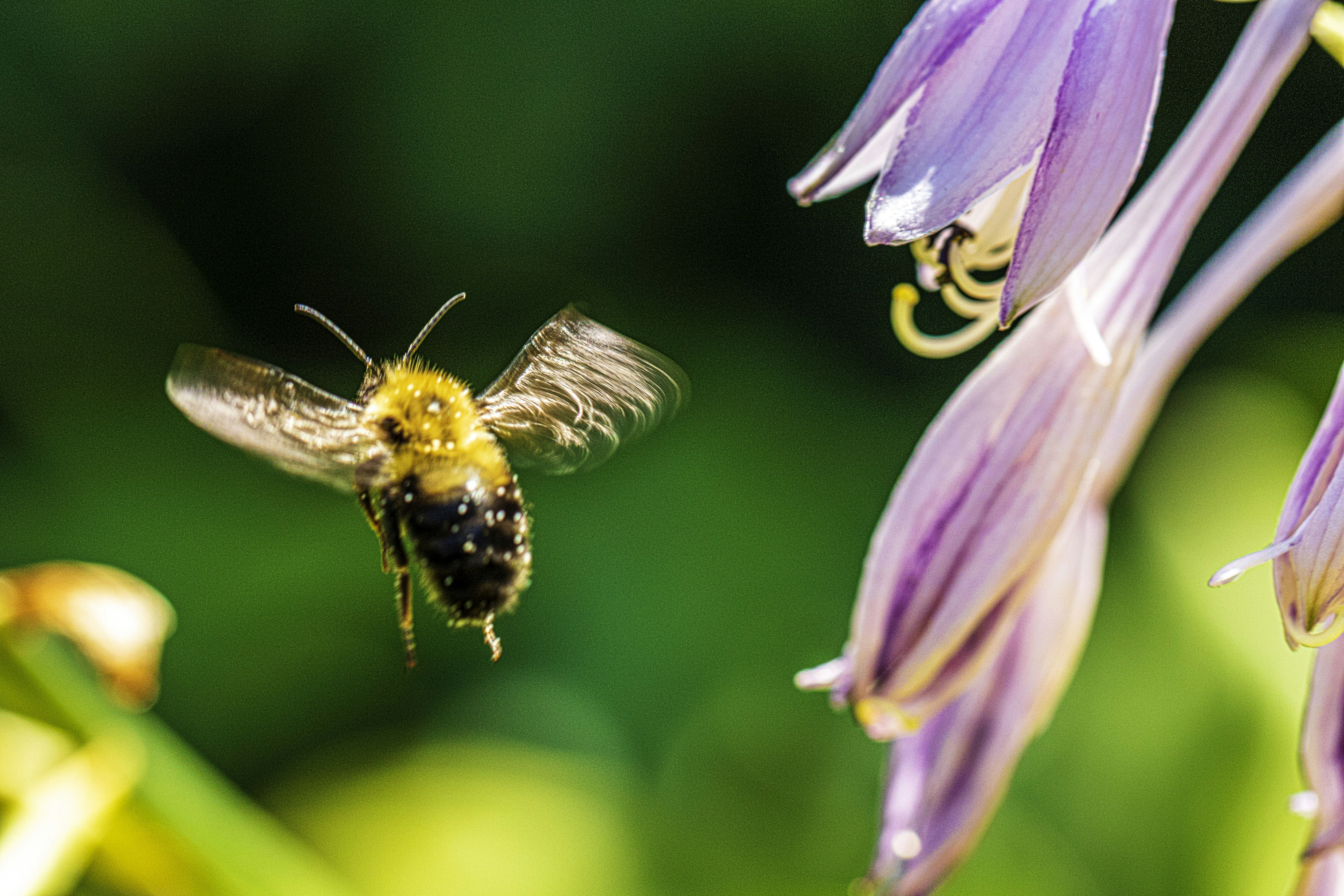 Photo by camerauthor