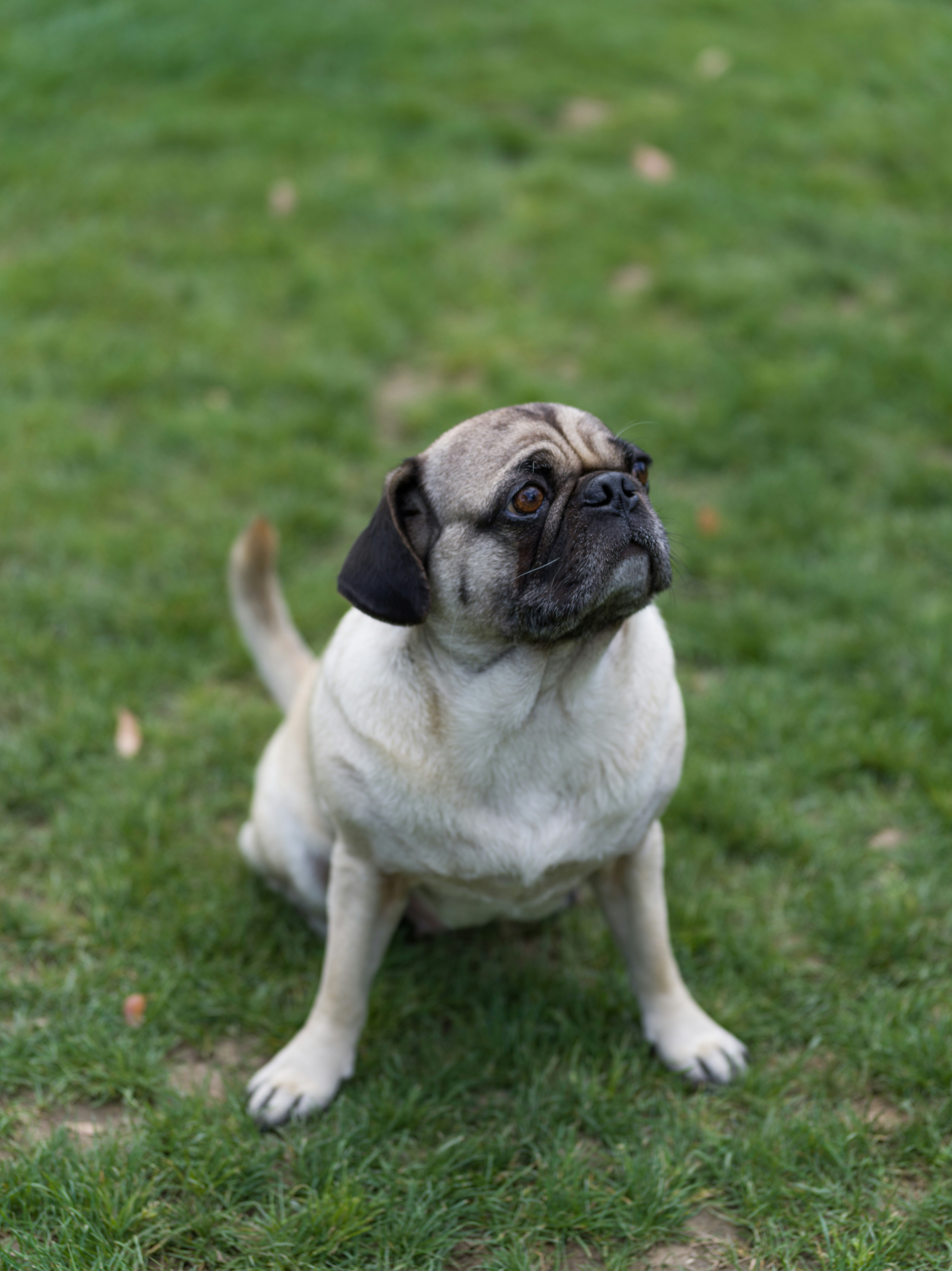 Photo by julianmokzth