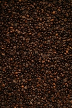 brown and black leopard pattern textile