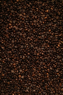 brown and black leopard pattern textile