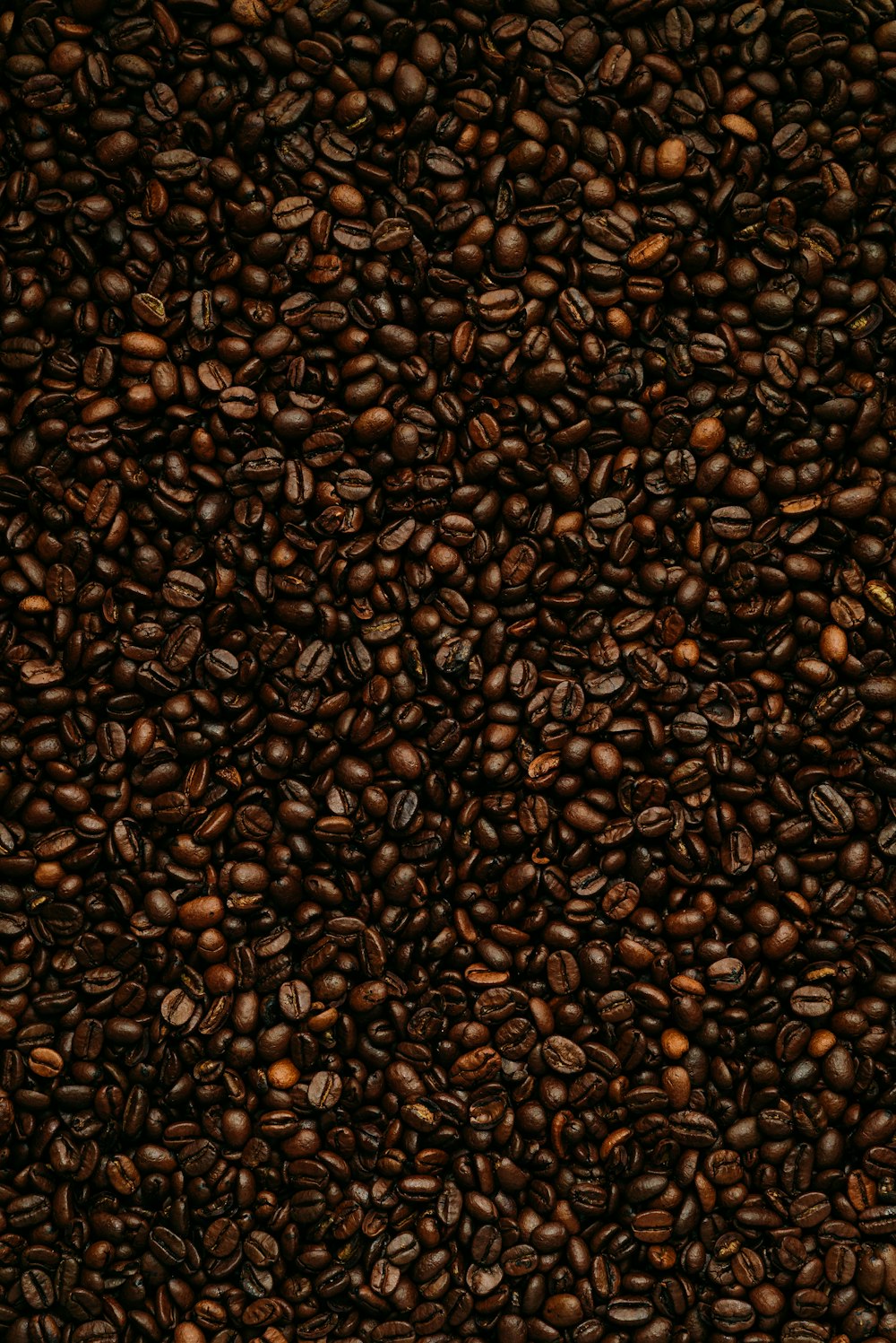 Textil con estampado de leopardo marrón y negro