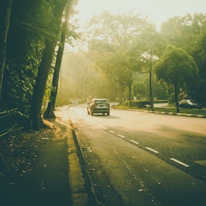 A serene road with a car driving peacefully.