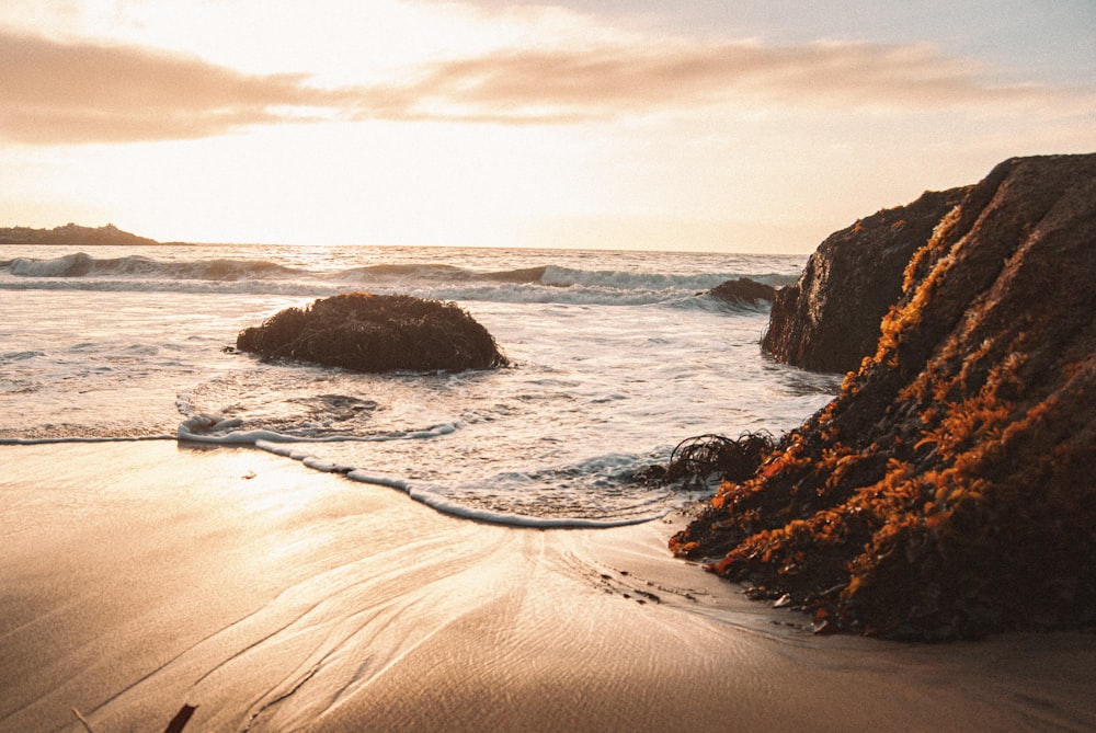 brown rock formation on sea shore during daytime