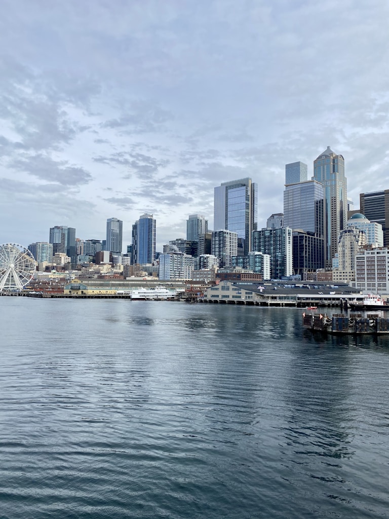 city skyline across body of water during daytime