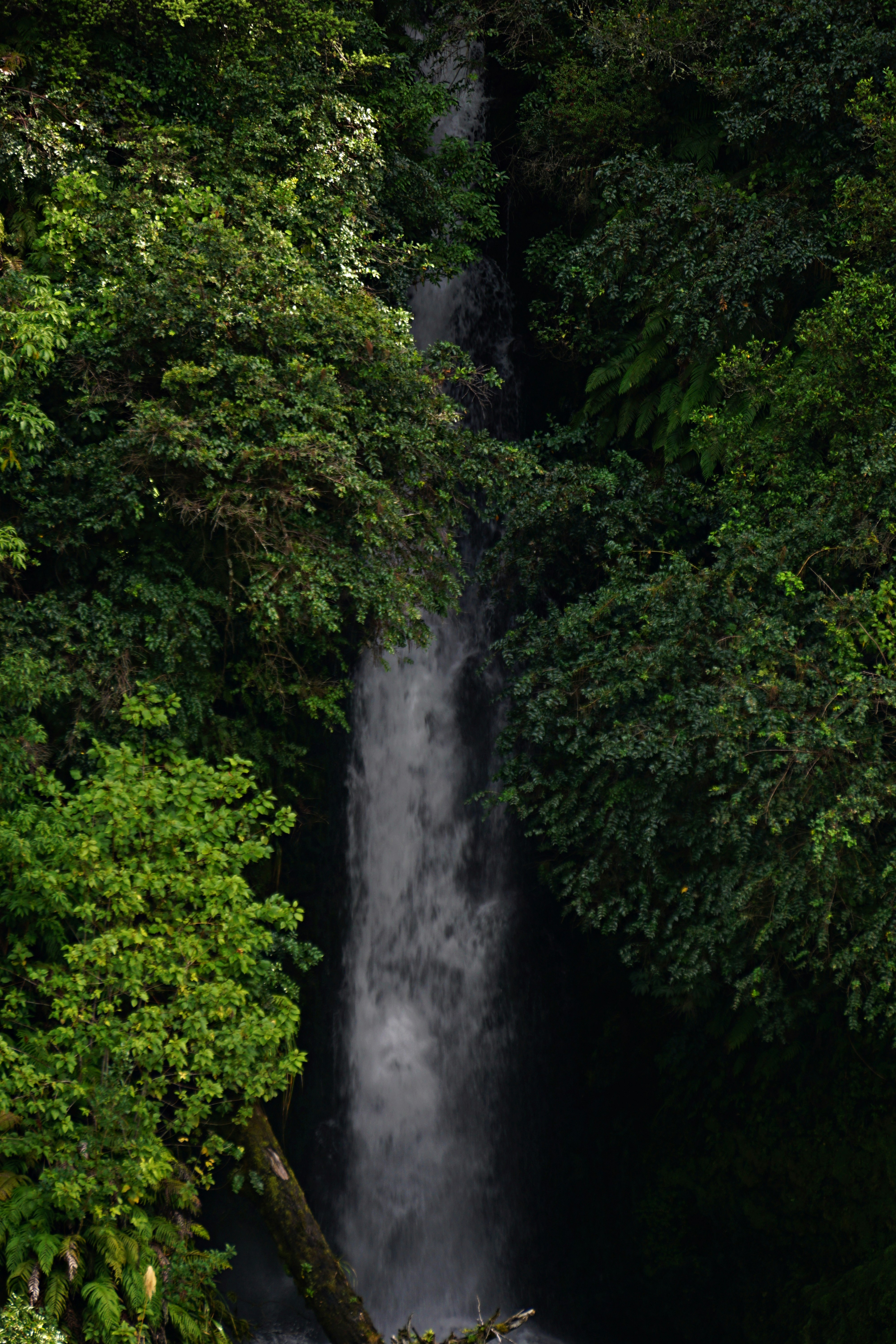Photo by nature_photography_by_luca