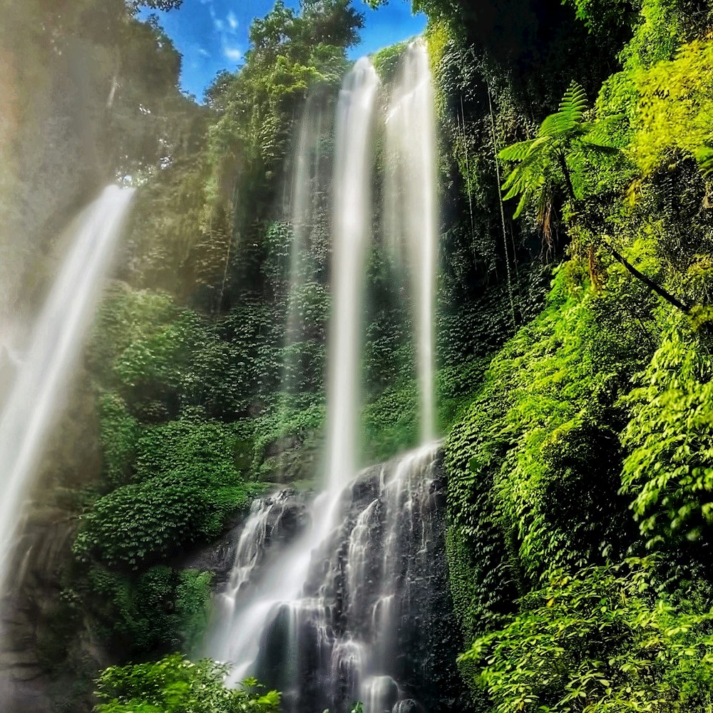 waterfalls in the middle of green trees during daytime