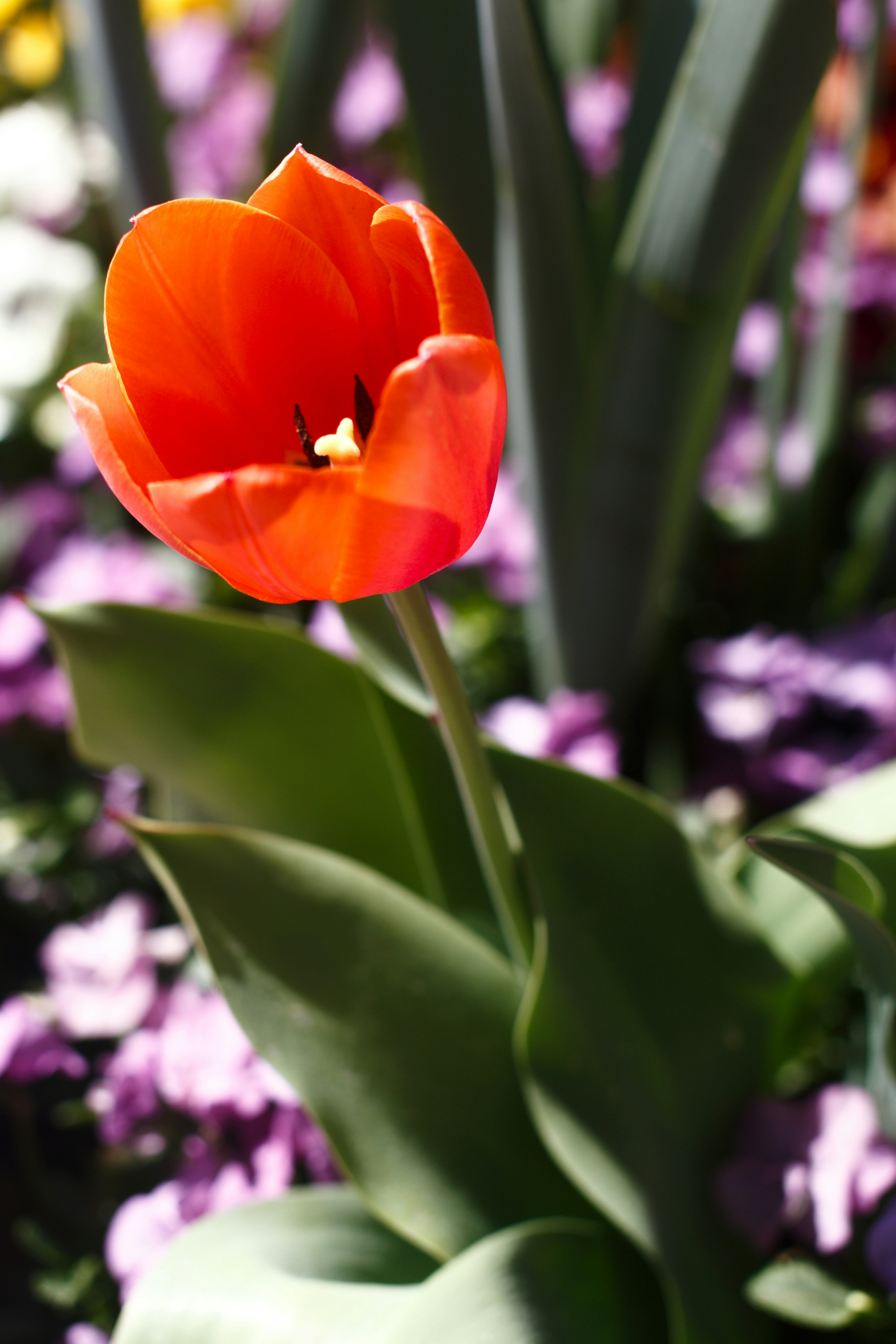 Photo by joshua_hoehne