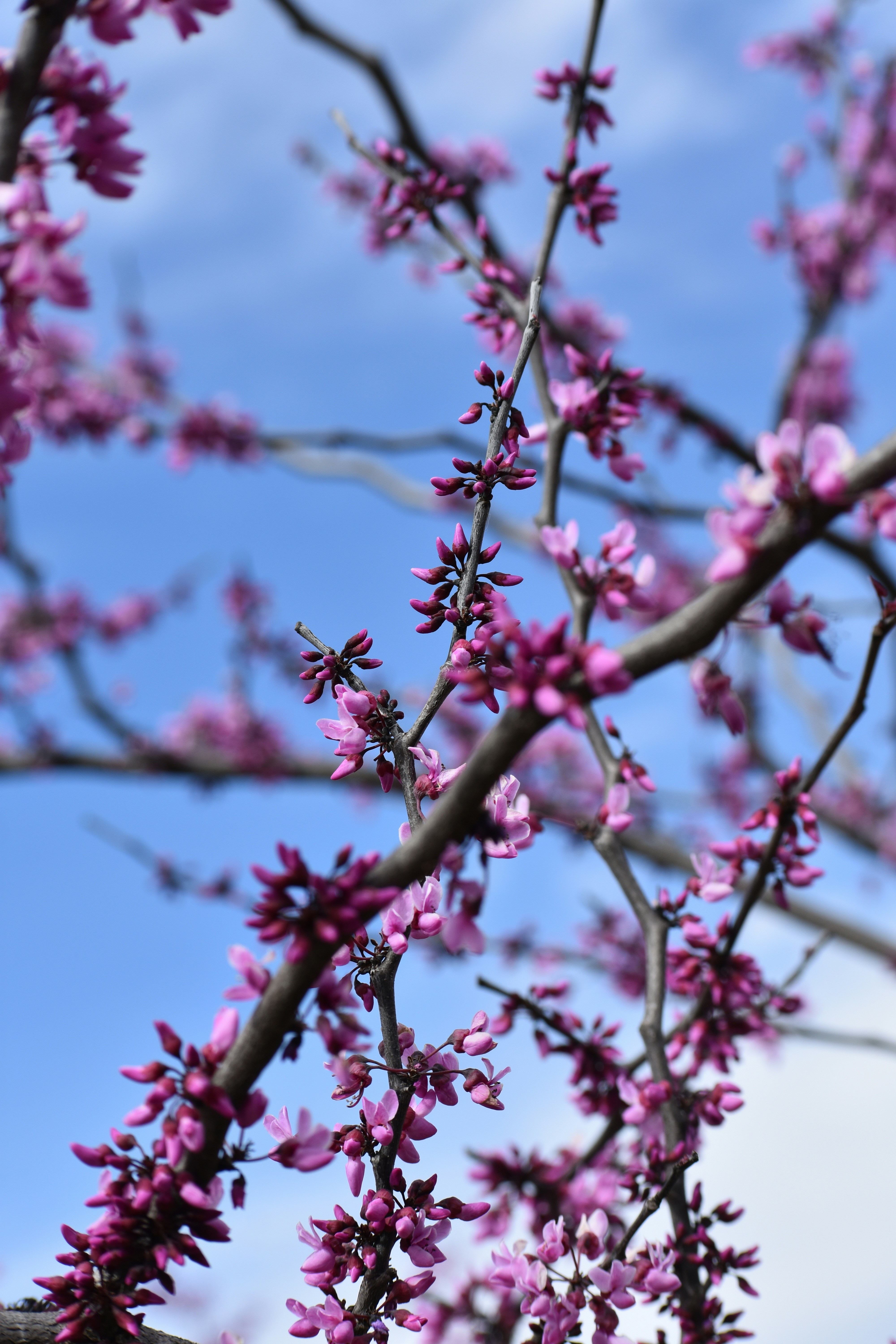 Photo by janinekrobinson