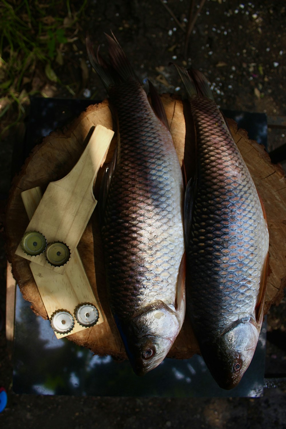 silver fish on brown wooden table