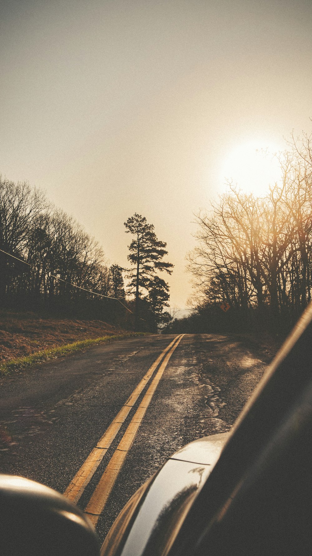 black asphalt road between bare trees during daytime