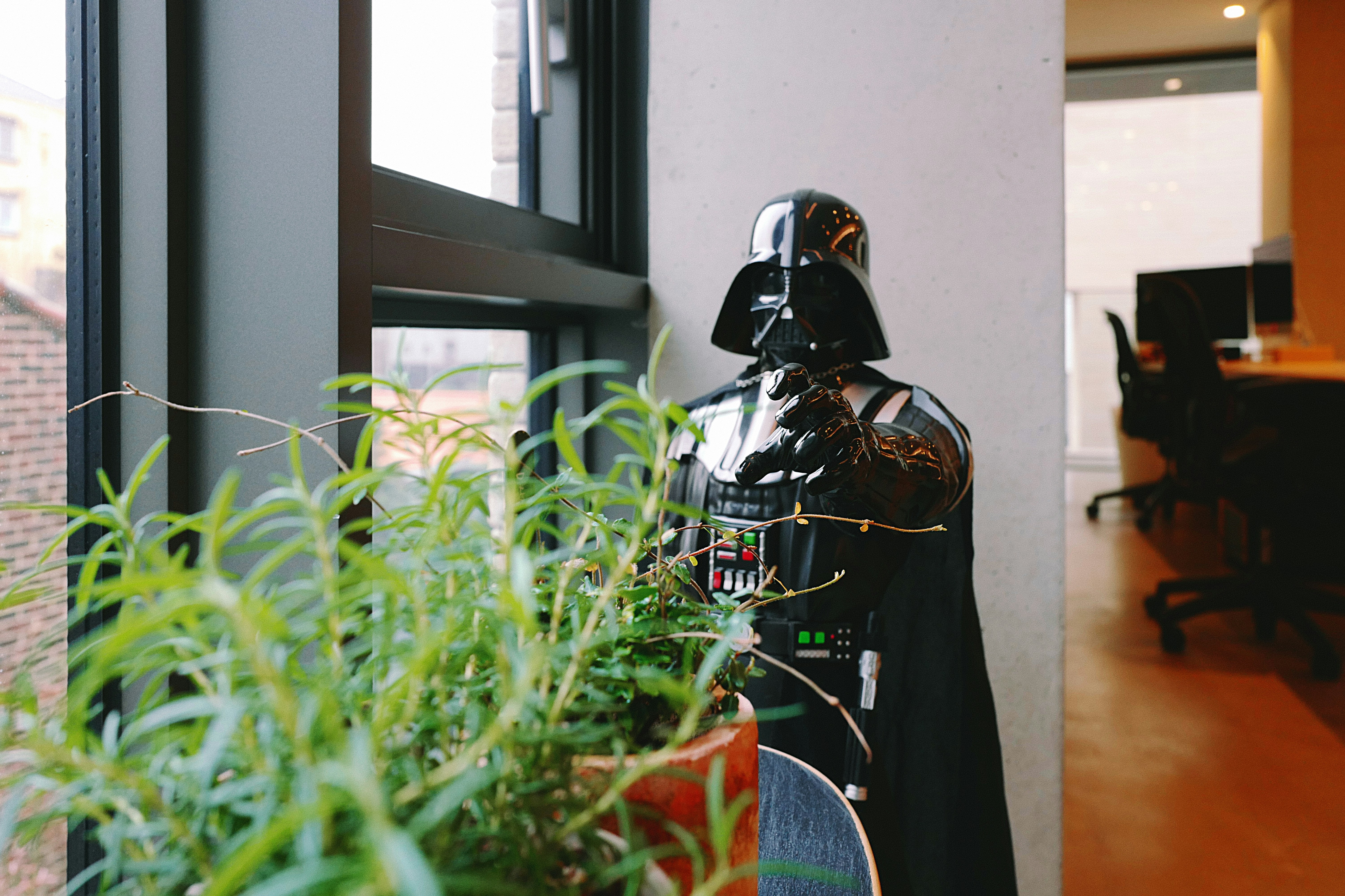 man in black and white helmet standing beside green plant during daytime