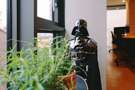 man in black and white helmet standing beside green plant during daytime