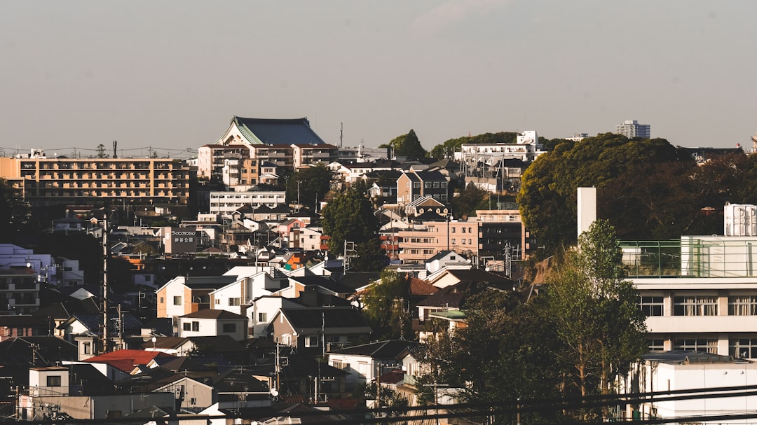 white and brown concrete houses